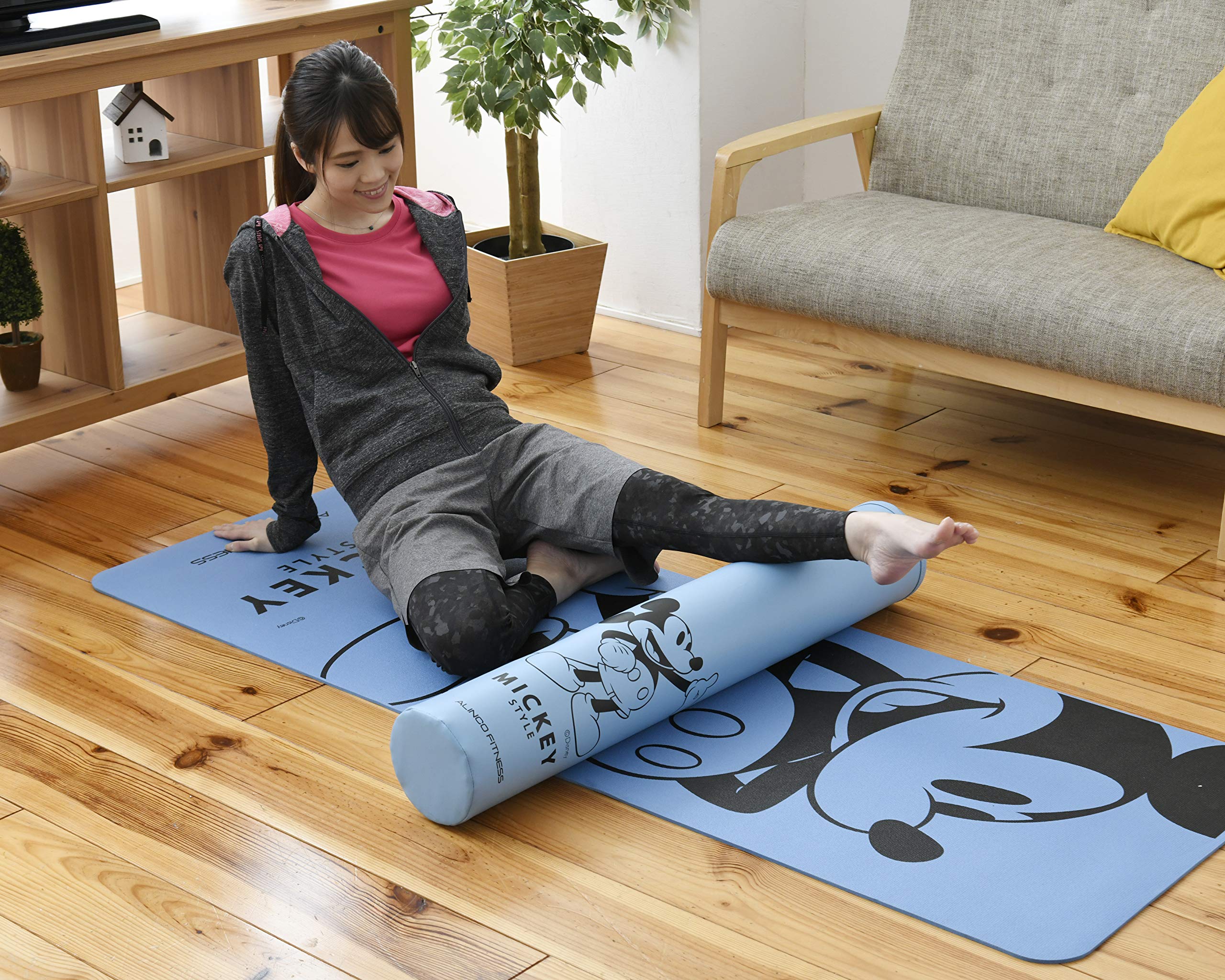 ALINCO FITNESS PRO アルインコストレッチポール 2本セット ALINCO アルインコ ストレッチポール FITNESS PRO 美品