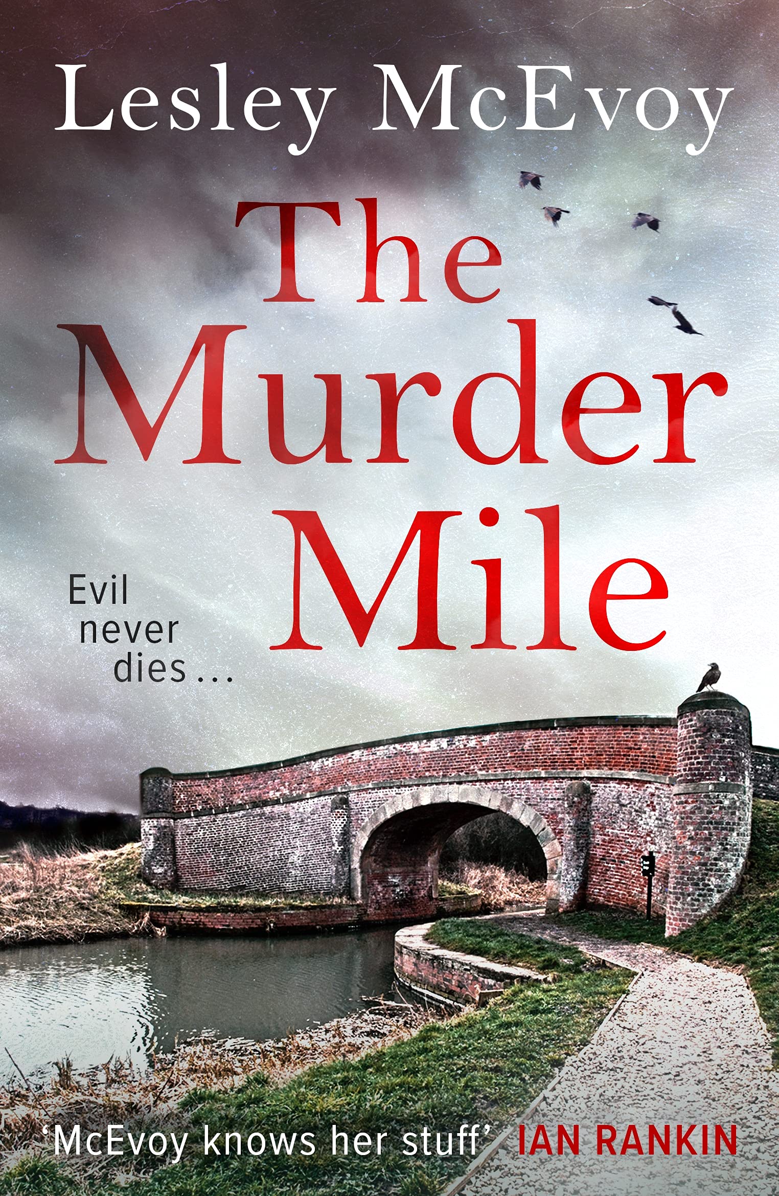The Murder Mile: A Yorkshire Crime Thriller (Murder in Yorkshire Book 1)