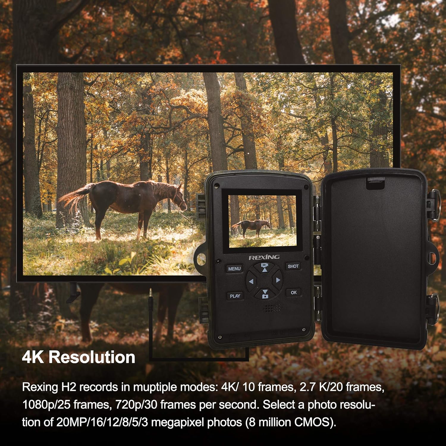 REXING H2-4K Trail Camera displaying 4K resolution video of a horse in a forest on its screen and an external monitor.