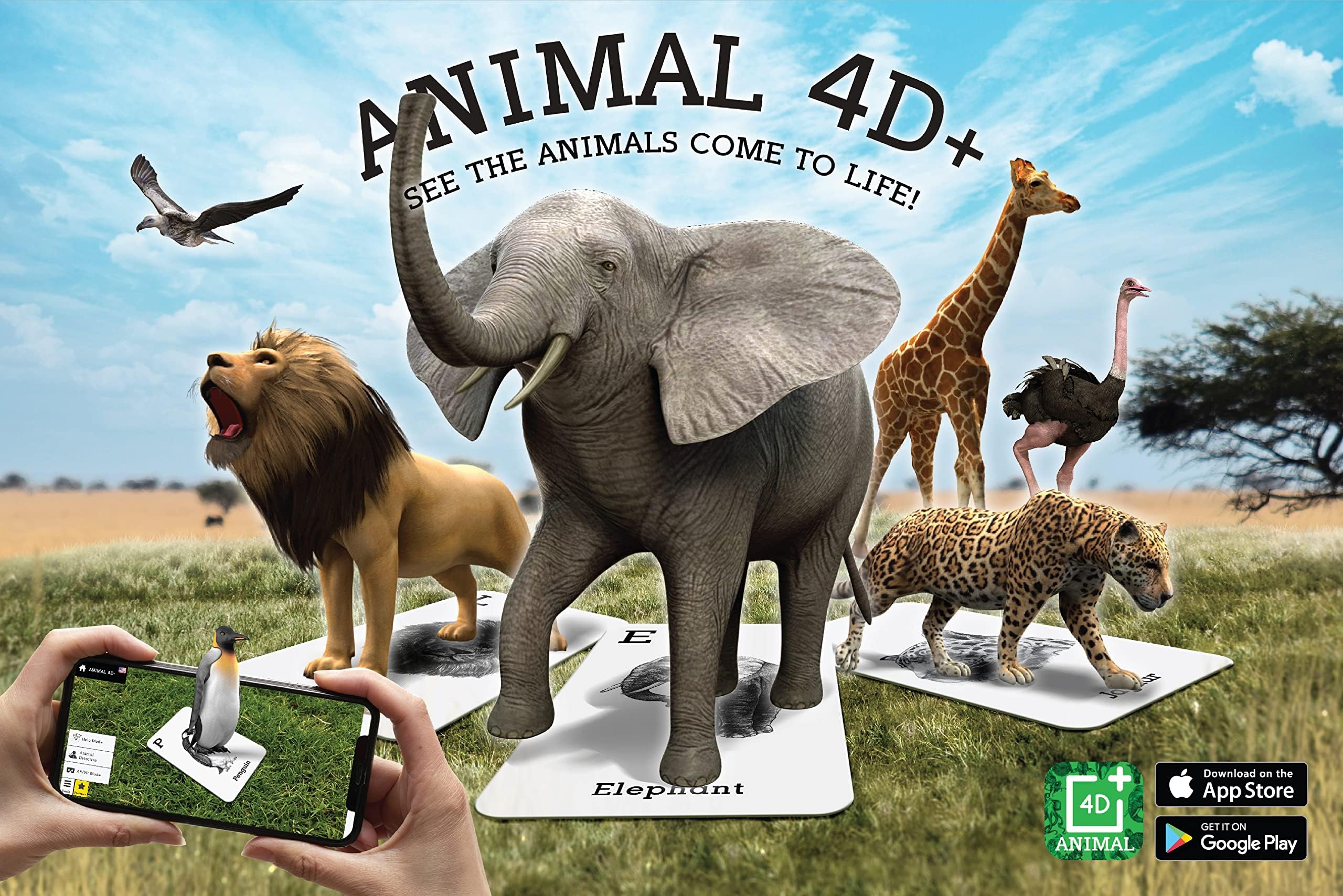 Octagon StudioAnimal 4D+ Augmented Reality Cards