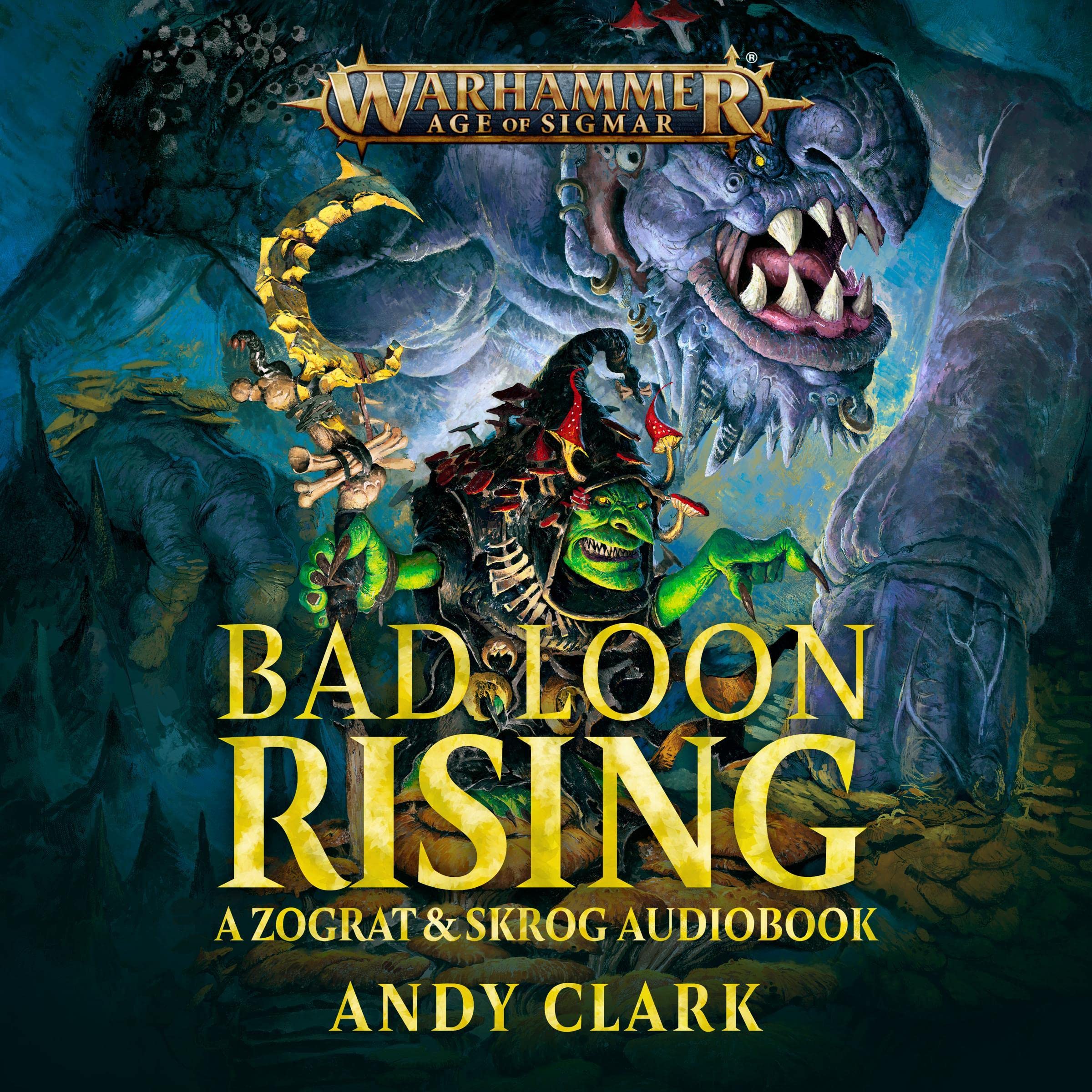 Cover art for Bad Loon Rising
