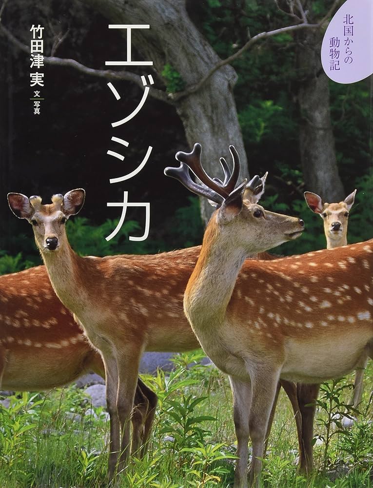 エゾ鹿鹿茸　1744g エゾシカ (北国からの動物記 4) | 竹田津 実 |本 | 通販 | Amazon