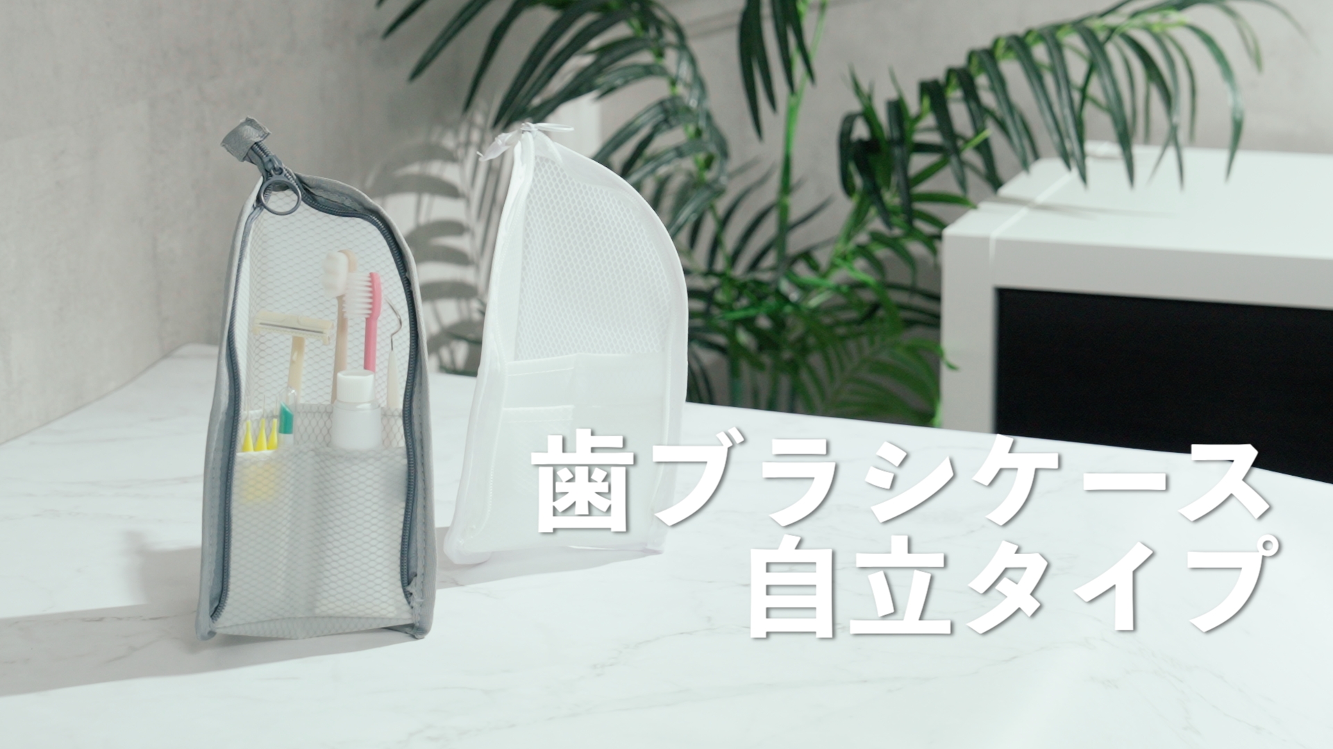 Amazon.co.jp: 歯ブラシケース 【歯科衛生士監修】旅先で便利な自立式