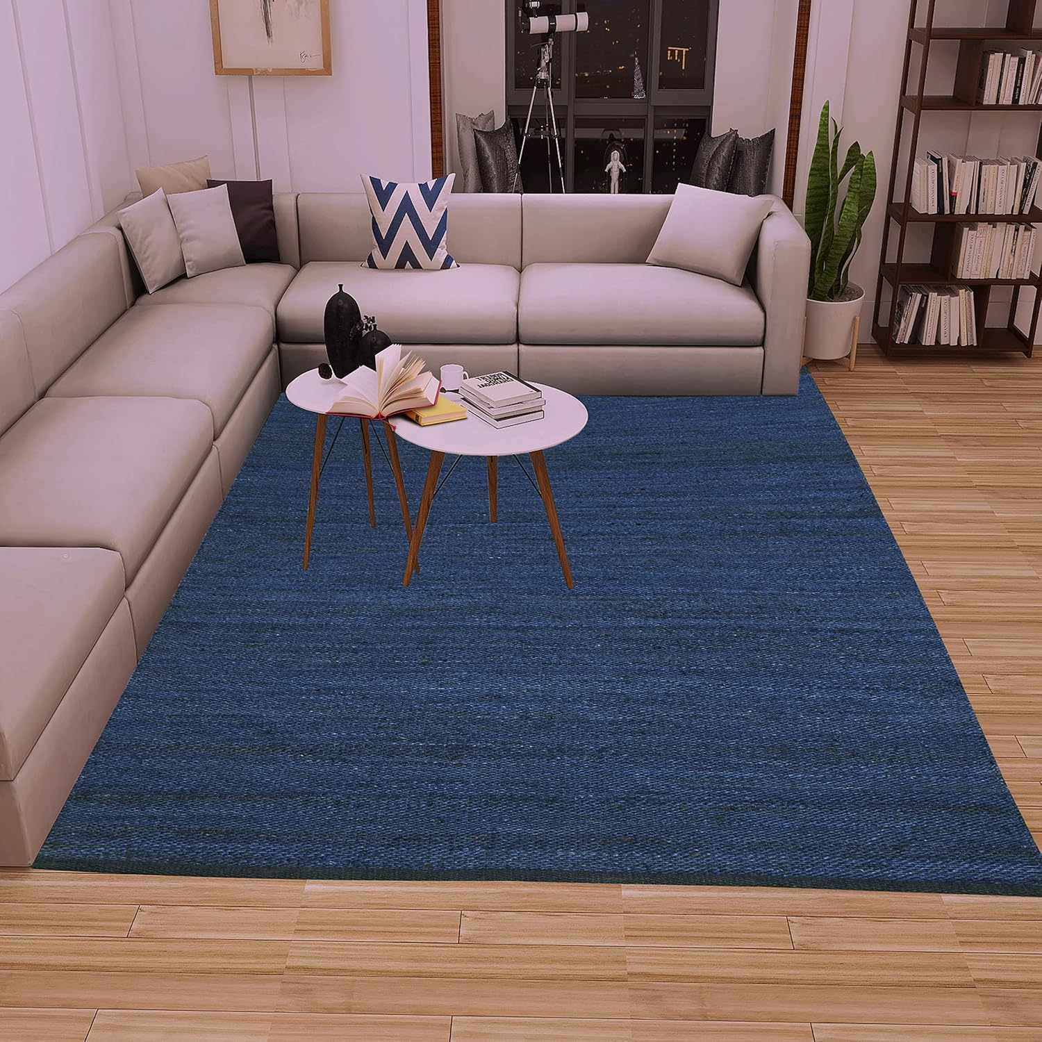 Neutral Woven Area Rug