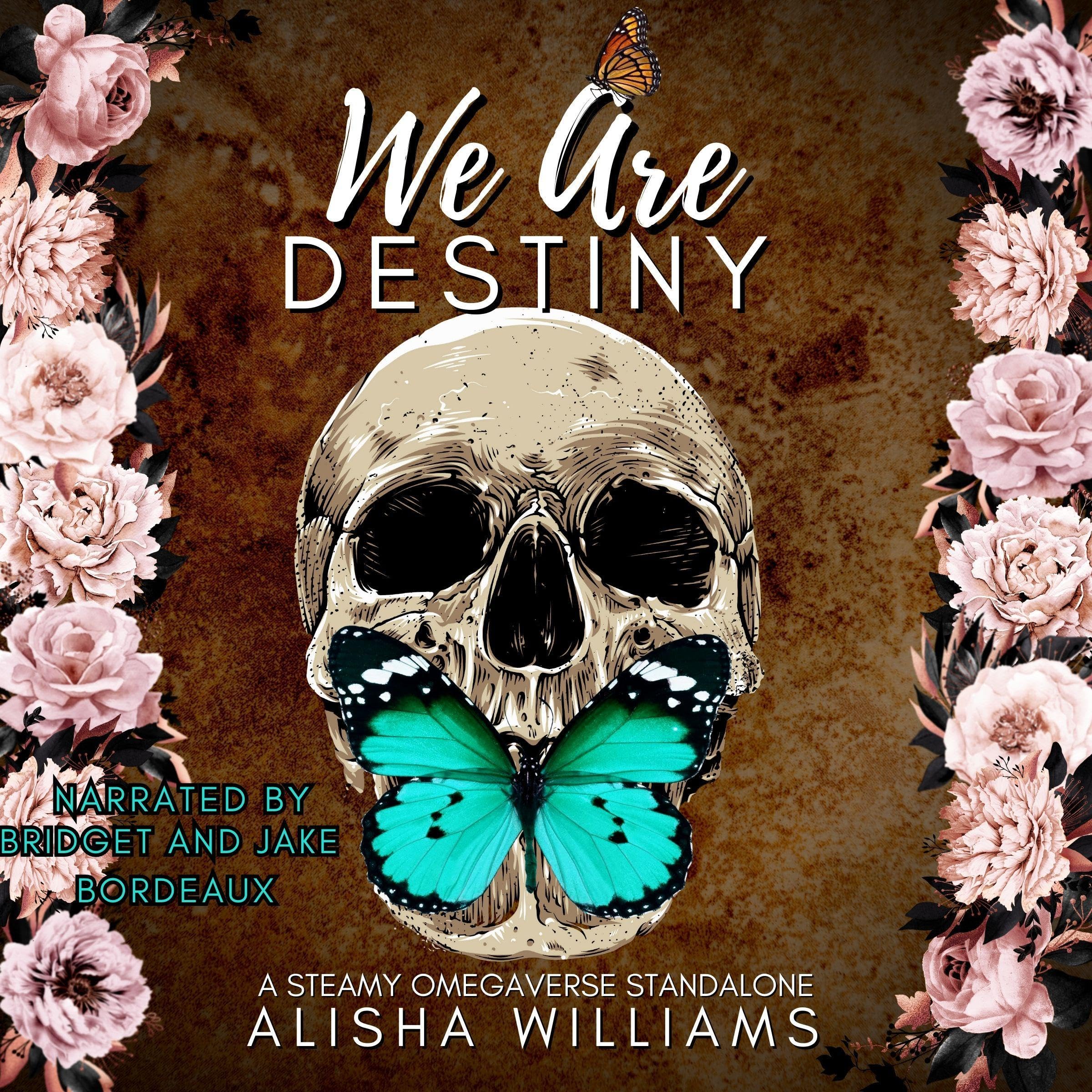 Cover art for We Are Destiny