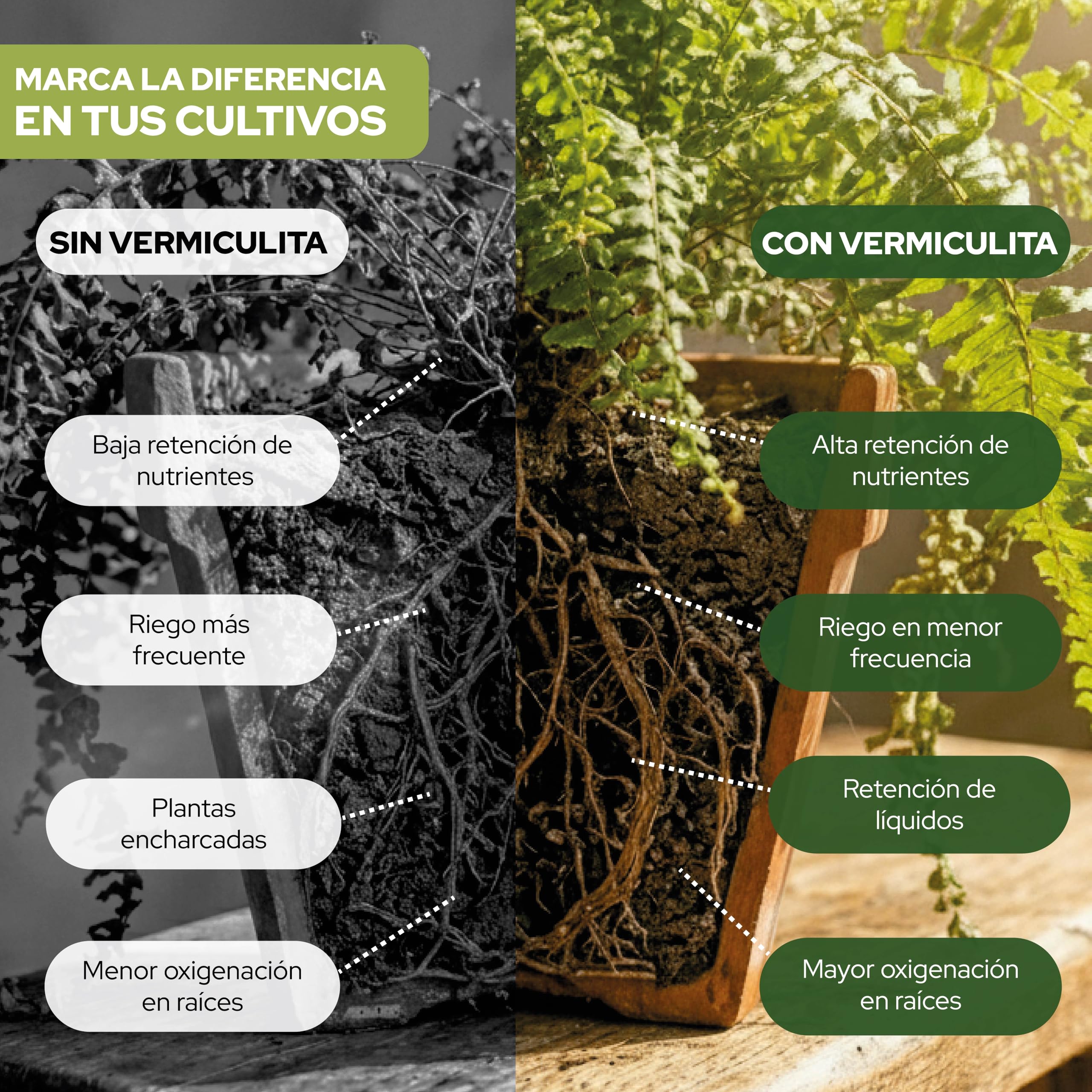 Control Garden Vermiculita 100L | Tierra para Plantas y Cultivos Interior y Exterior | Sustrato Natural para Semillas | Fabricado en España