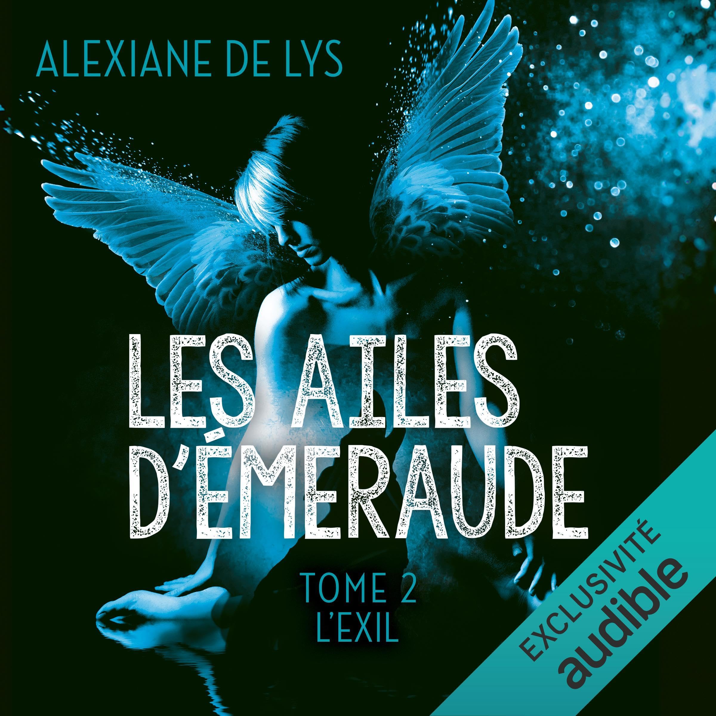 Cover art for L'exil: Les ailes d'émeraude 2