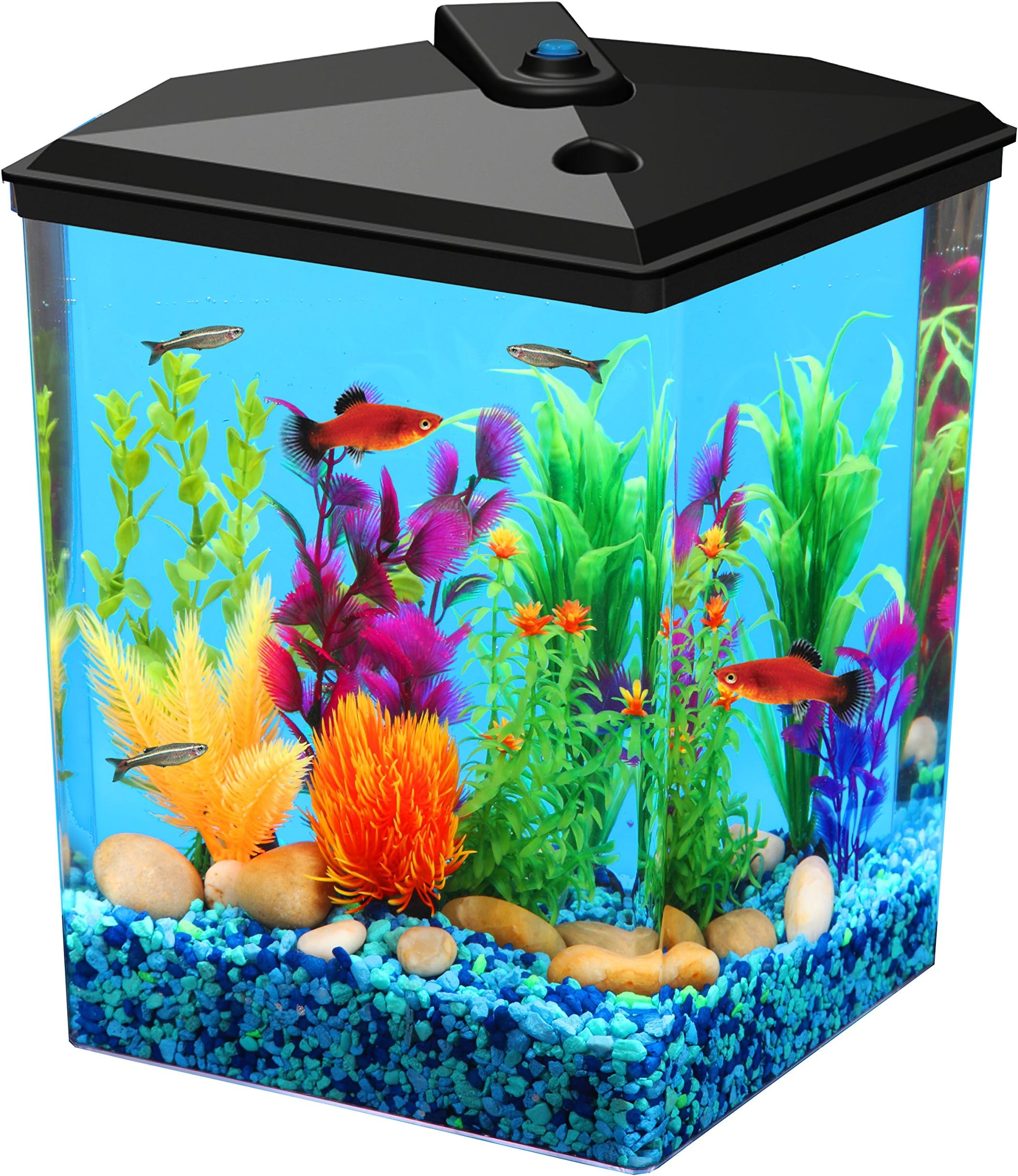 Koller Products AquaView 2.5-Gallon Plastic Fish Tank with Power Filter and LED Lighting for Tropical Fish - Betta Fish (7 Color Selections)