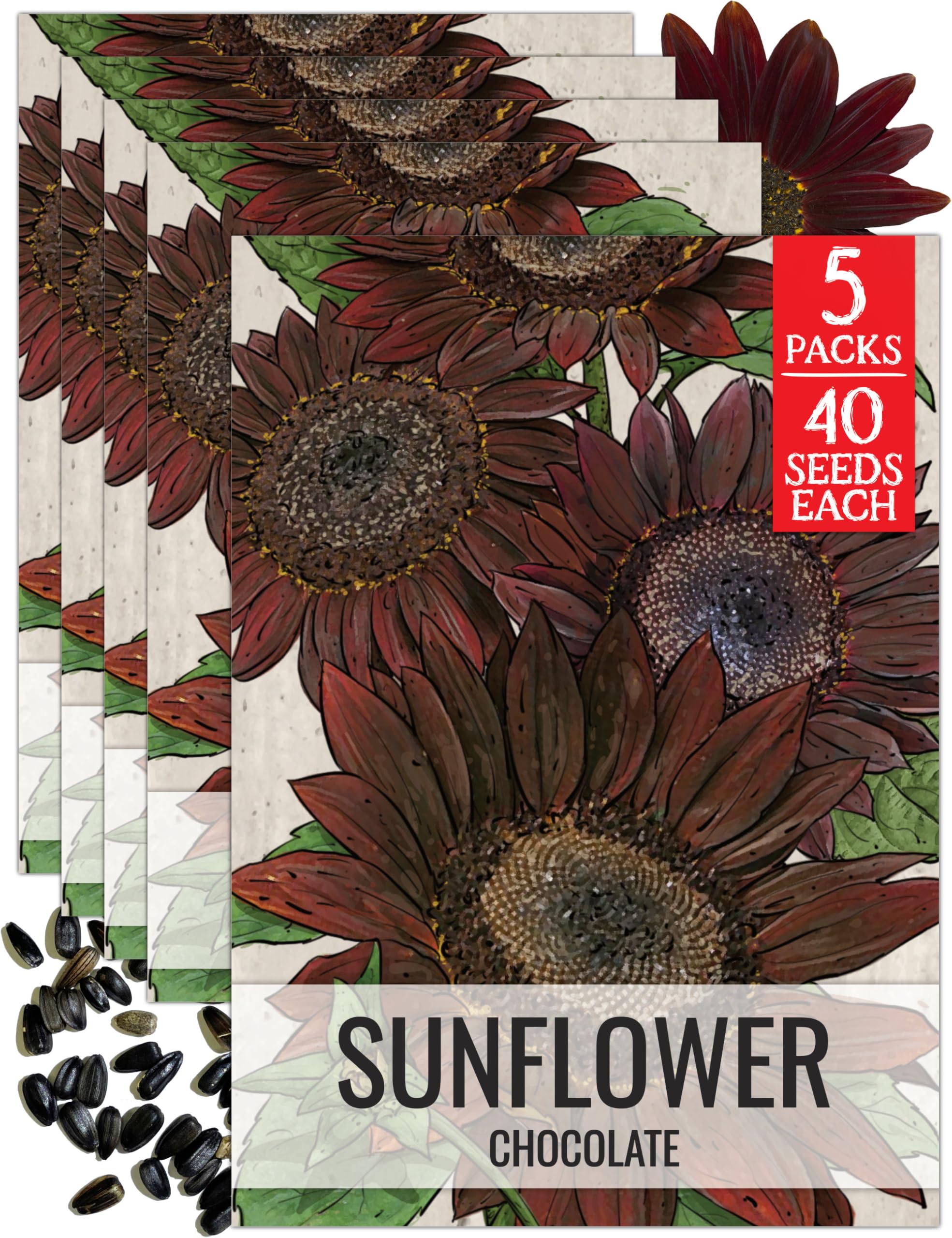 Seed Needs Chocolate Sunflower Seeds
