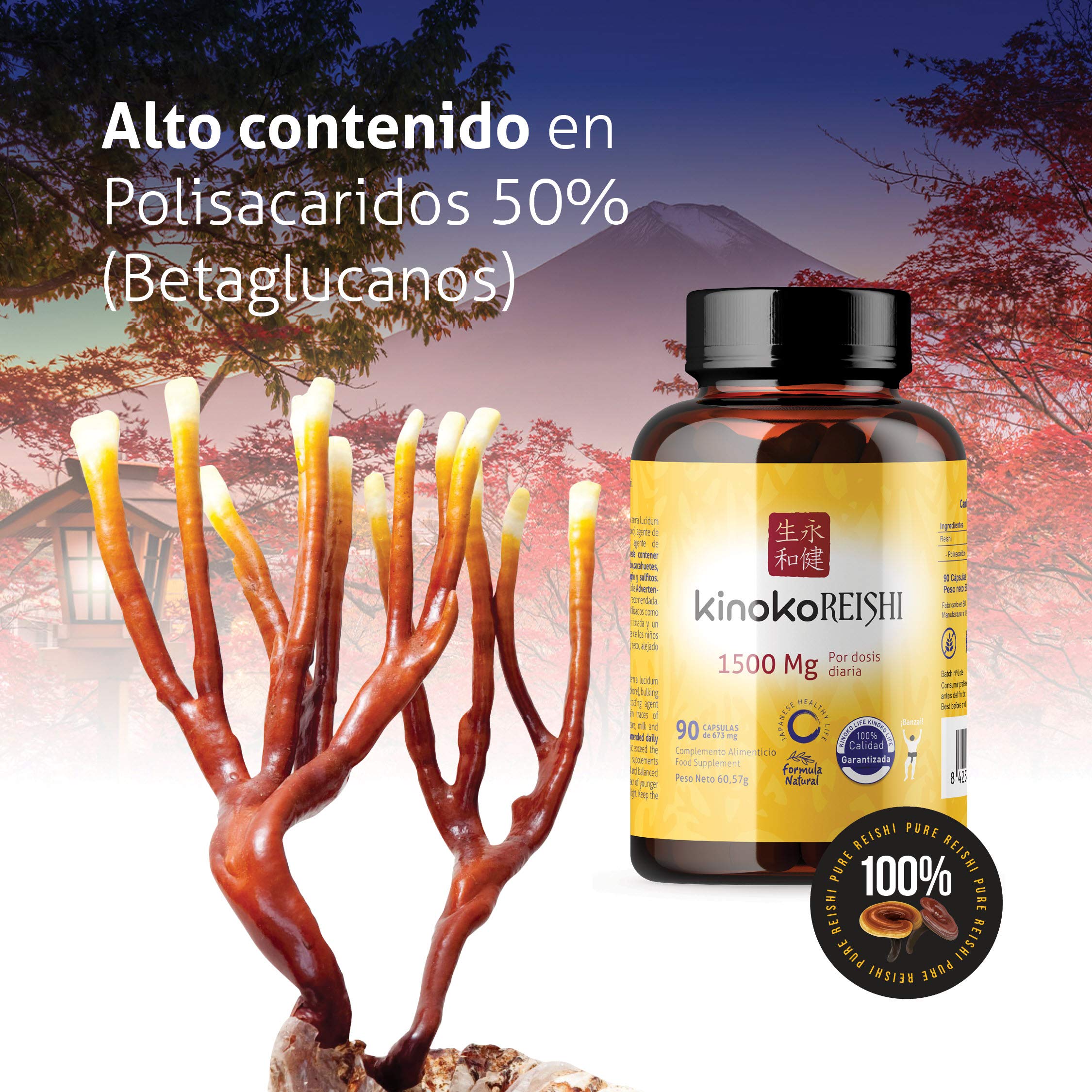Reishi Puro Cápsulas 1500 mg Ganoderma Lucidum Rojo Extracto Concentrado 20:1 con 50% Polisacáridos Beta Glucanos 90 Cápsulas Veganas. KinokoReishi