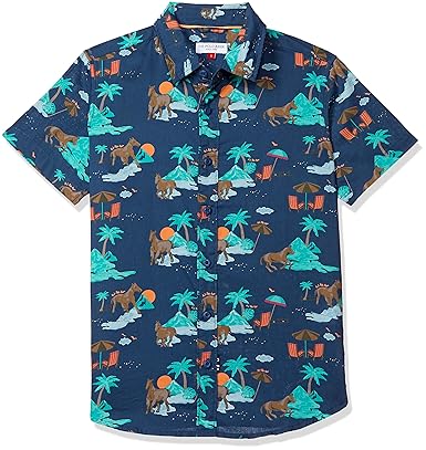 U.S. POLO ASSN. Boys Regular fit Shirt