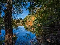 Review Image by Wilfred Wilfred