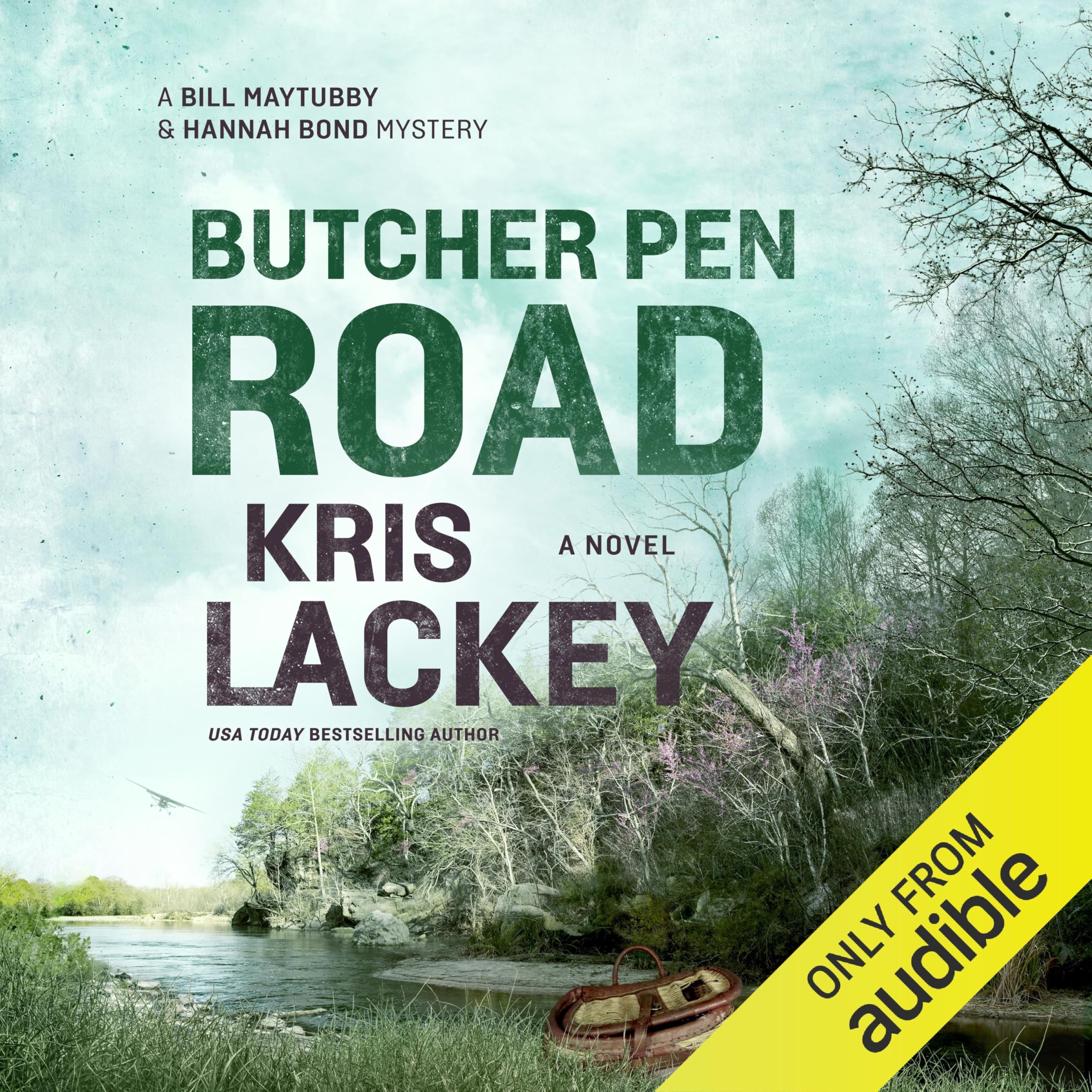 Cover art for Butcher Pen Road