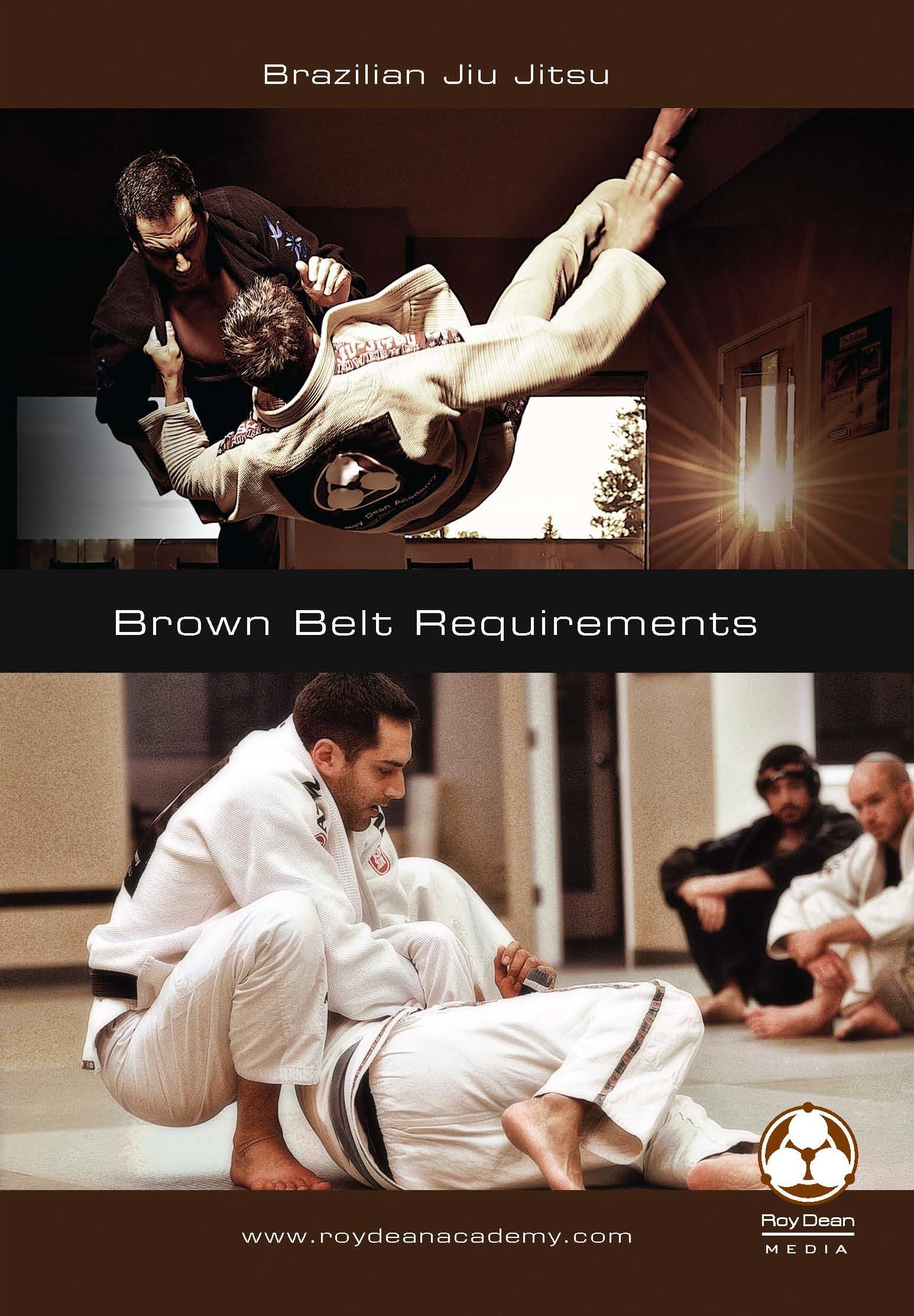 Brazilian Jiu Jitsu Brown Belt Requirements: Pressure and Efficiency