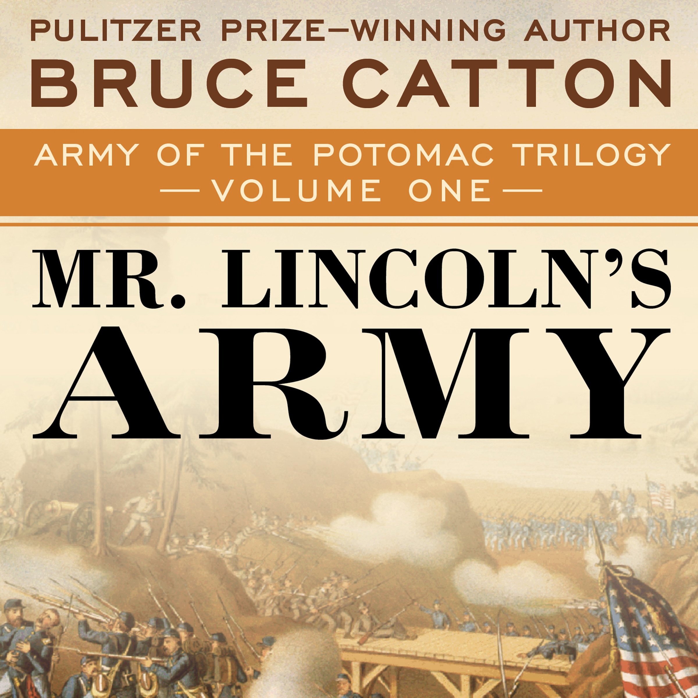 Cover art for Mr. Lincoln's Army