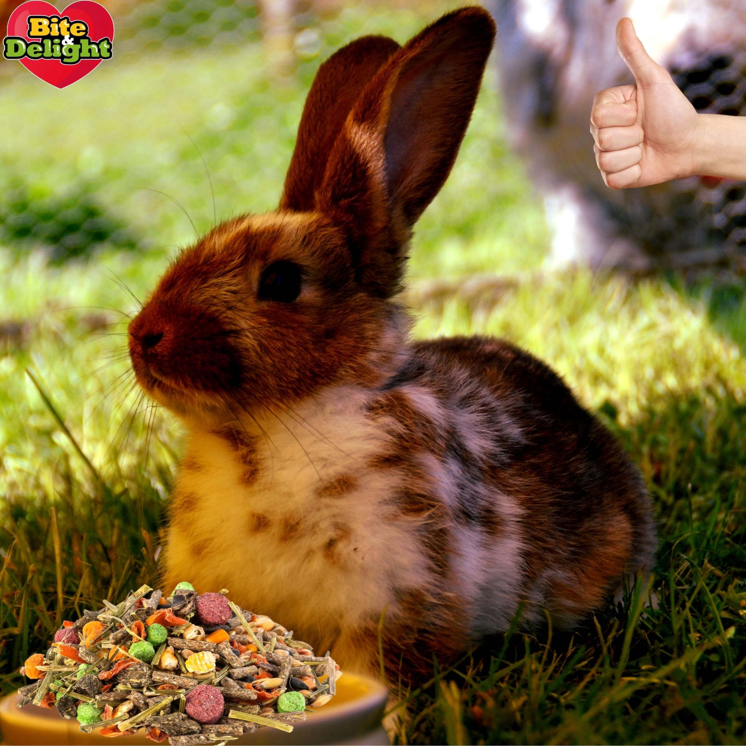 Bite & Delight Kaninchenfutter - Strukturmüsli - Hasenfutter für Zwergkaninchen - Förderung der Verdauung, ohne Zusatz von Zucker und Getreide - Strukturfutter mit Kräuter - 1000 ml 0,6kg