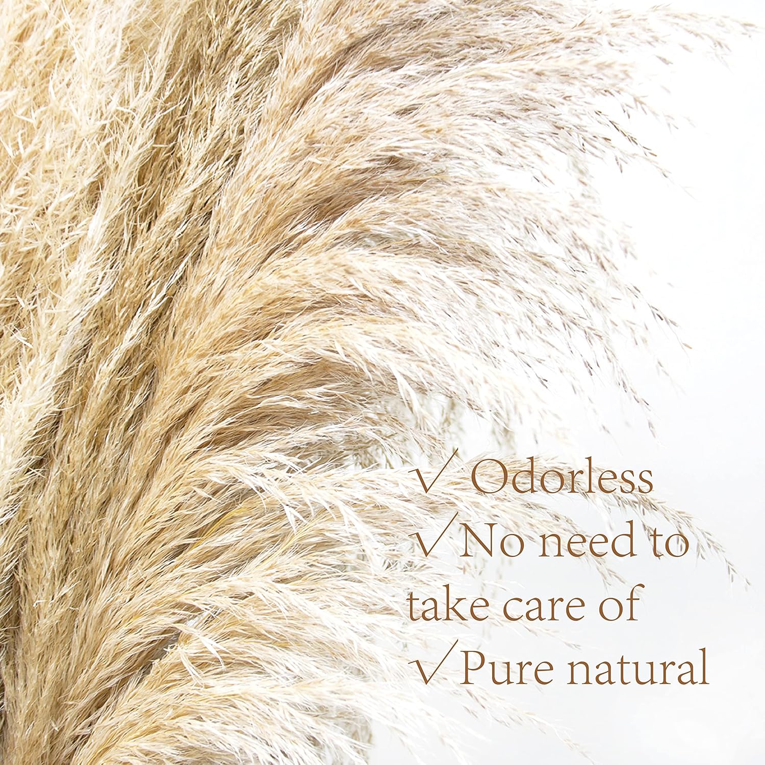 Pampas Grass Decor Tall 46 Inches,16 Stems Tall Pampas Grass for Floor Vase,Large Natural Dried Pompass Grass Branches Tall Fluffy,Boho Decor Pompous Grass No Shedding No Stench,for Home & Wedding