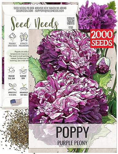 Miniatura 17 de Seed Needs Semillas mixtas de amapola de peonía para plantar, reliquia y polinizada abierta, mezcla colorida para plantar un jardín de mariposas al