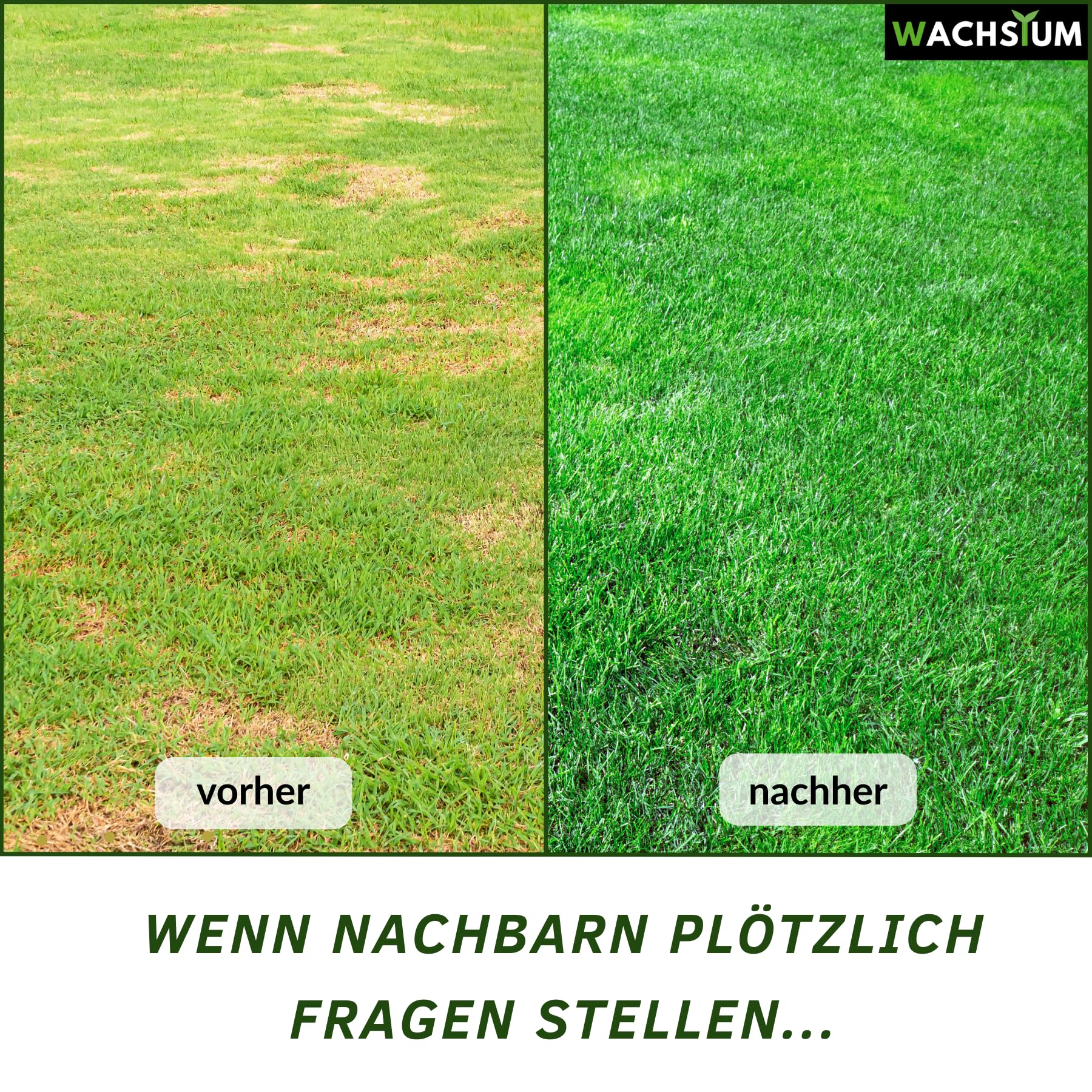 Rasensamen schnellkeimend 0,5kg 20qm – Frühjahr und Sommer Premium Grassamen Nachsaat, dichter strapazierfähiger Rasen, Mähroboter geeignet – kräftiges Wachstum, RSM Qualität,