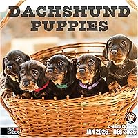 Vista 54 de RED EMBER Calendario de pared 2025 con diseño de cachorros de 12 meses, 12 x 24 pulgadas, abierto, papel grueso y resistente, para regalo