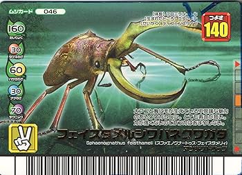 洋書　シワバネクワガタ亜科のモノグラフ taita-chi01.jpg