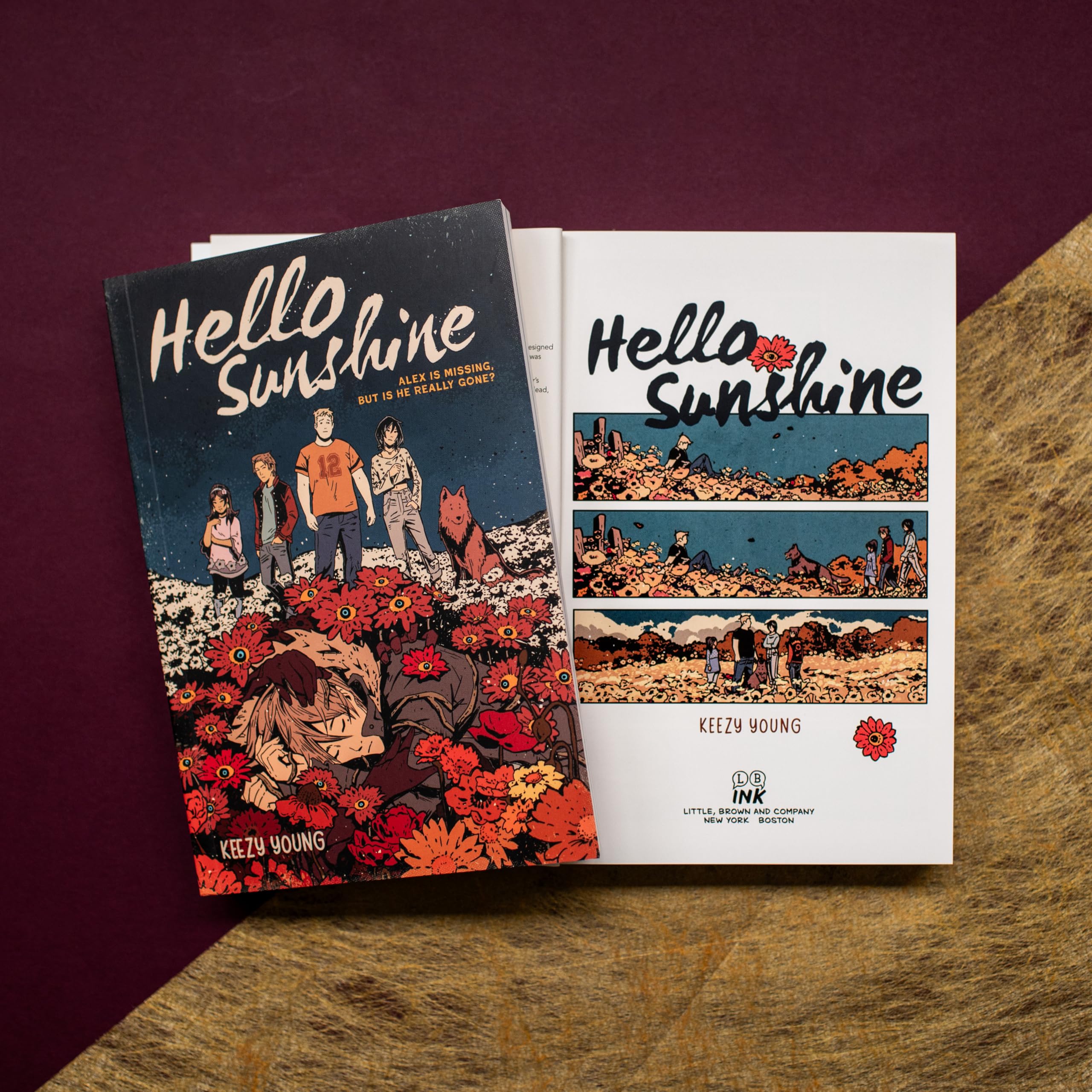 Hello Sunshine (A Graphic Novel)