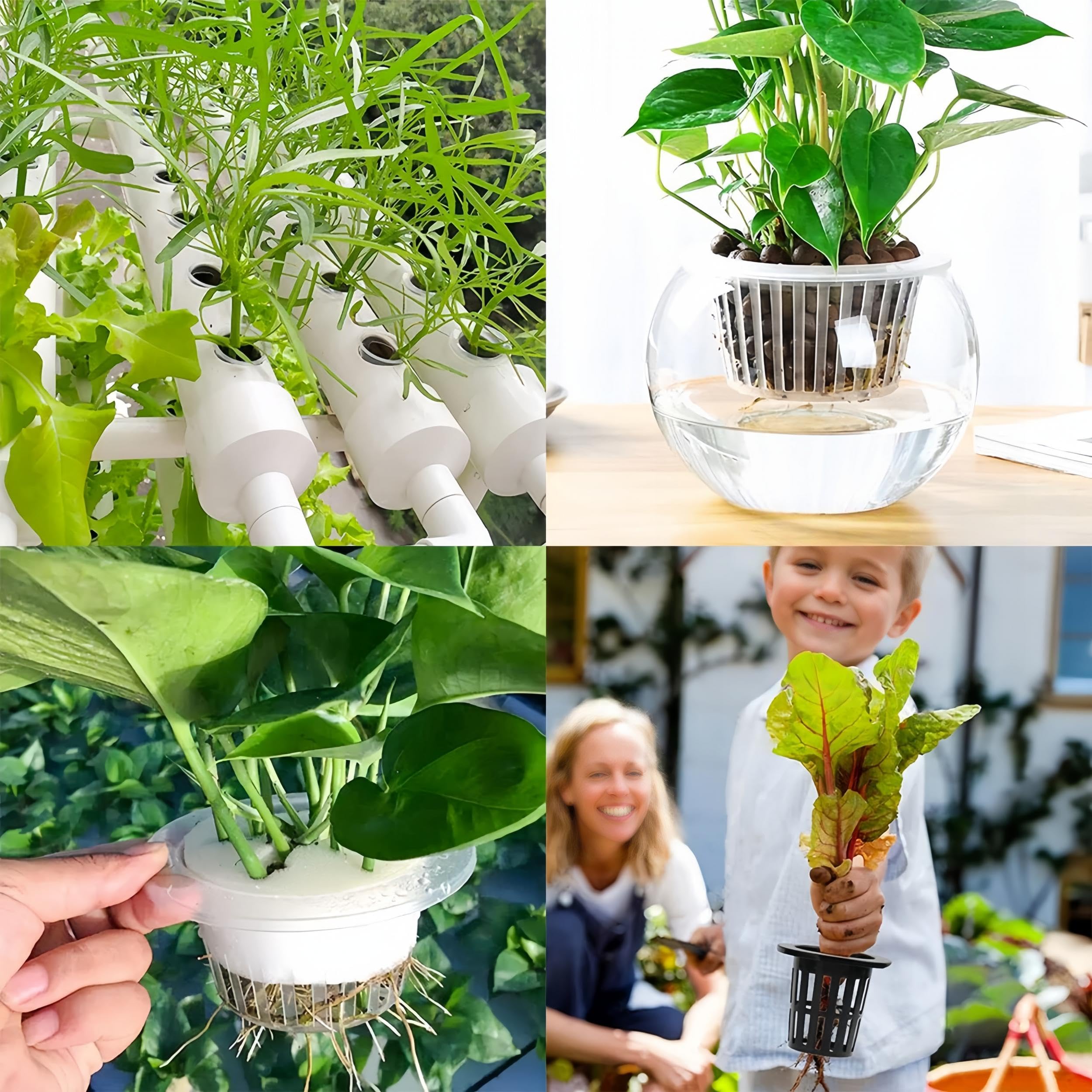 VASO A RETE 50 pz tazze a rete per verdure cesto pianta giardino