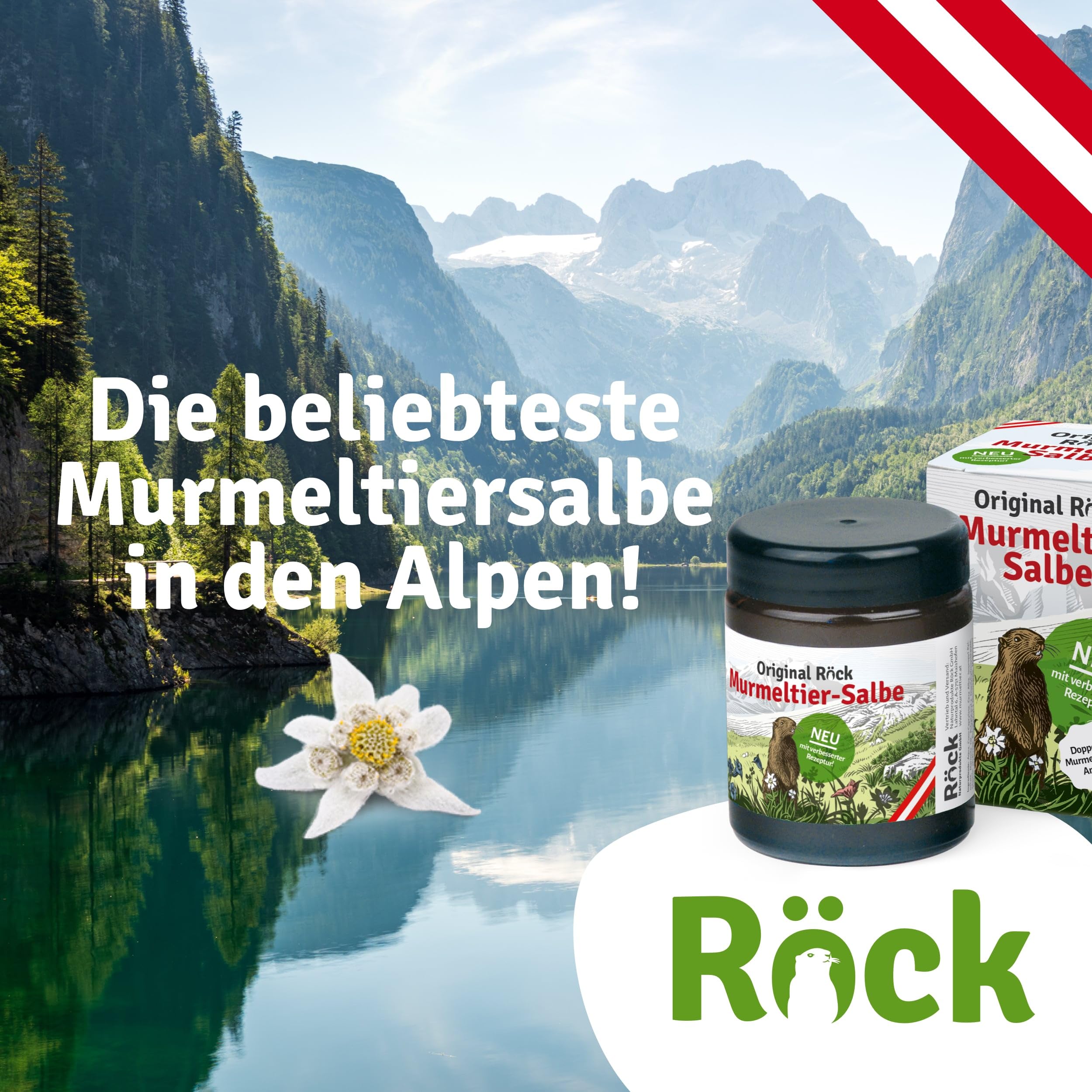 Pomata per marmotta originale Röck – l'unguento per marmotta più popolare nelle Alpi. Con formula migliorata e percentuale di olio di marmotta doppio