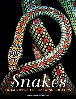 Snakes: From Vipers to Boa Constrictors (Animals in Photographs)