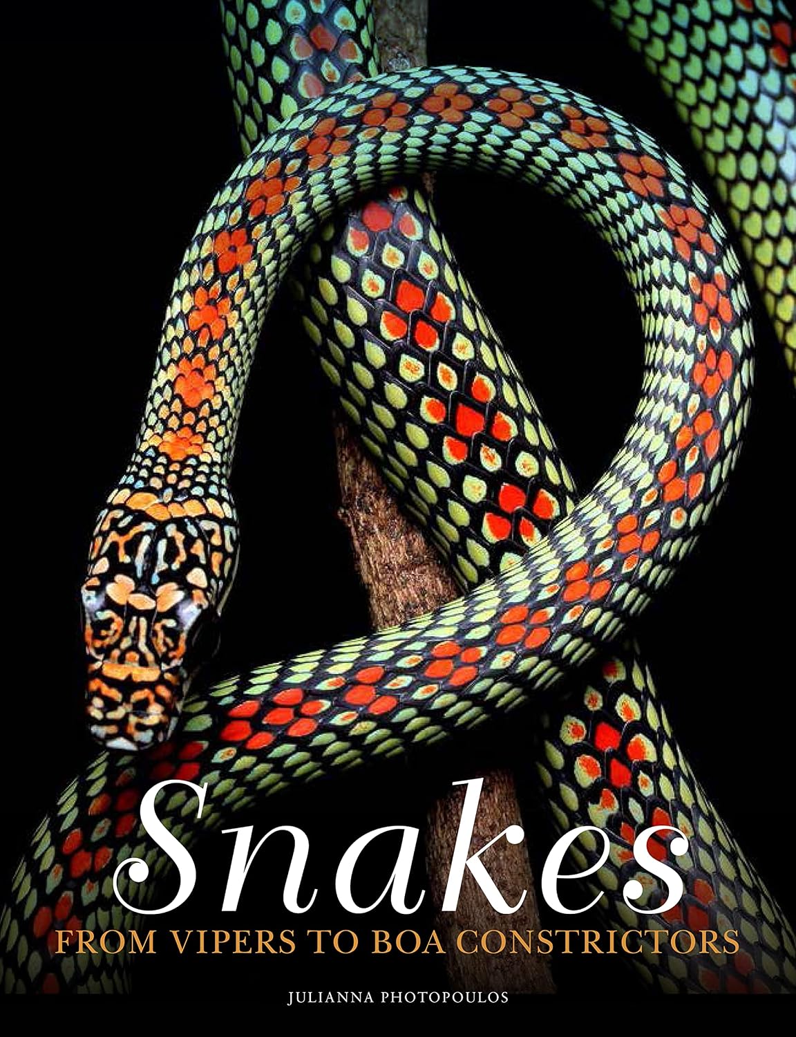 Snakes: From Vipers to Boa Constrictors (Animals in Photographs)
