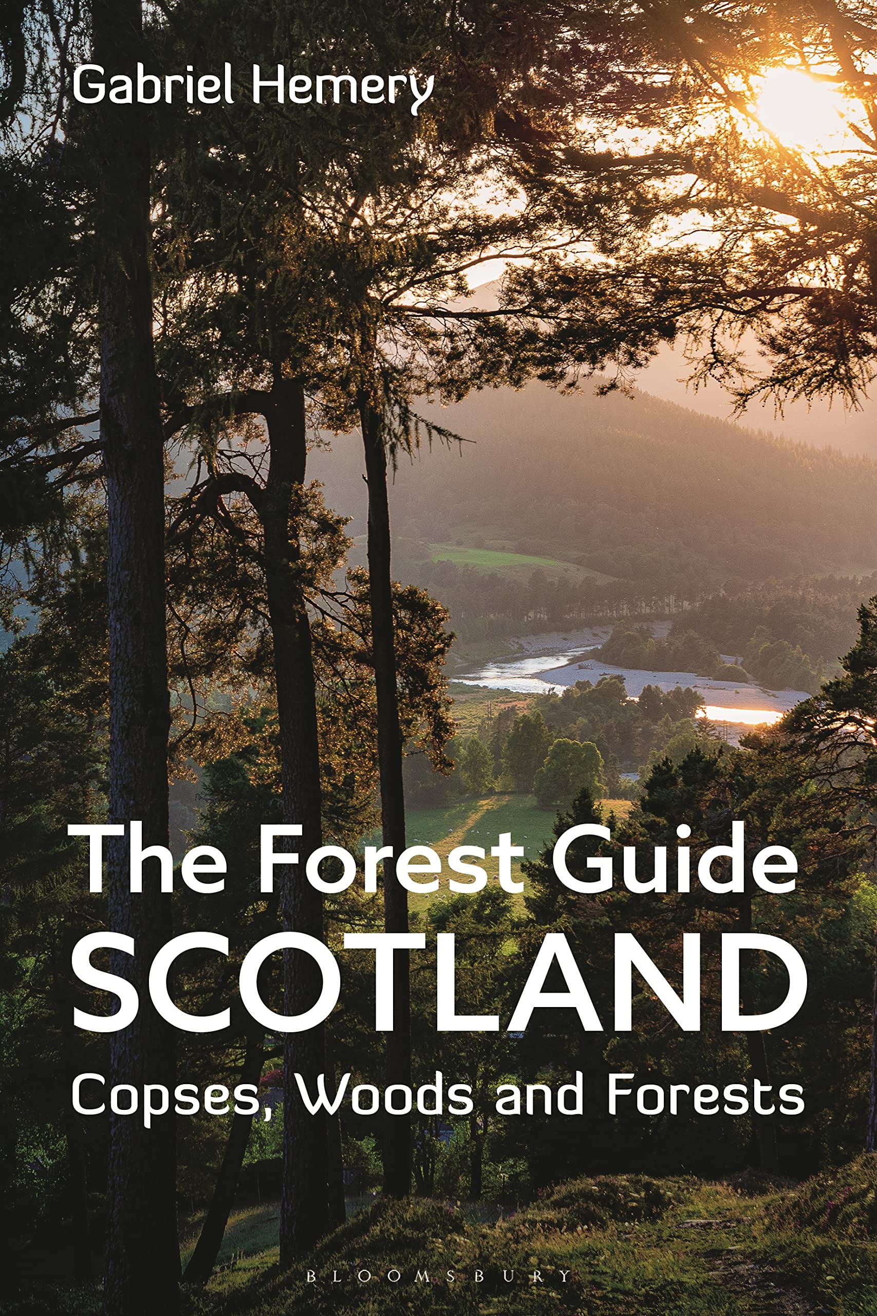 Forest Guide