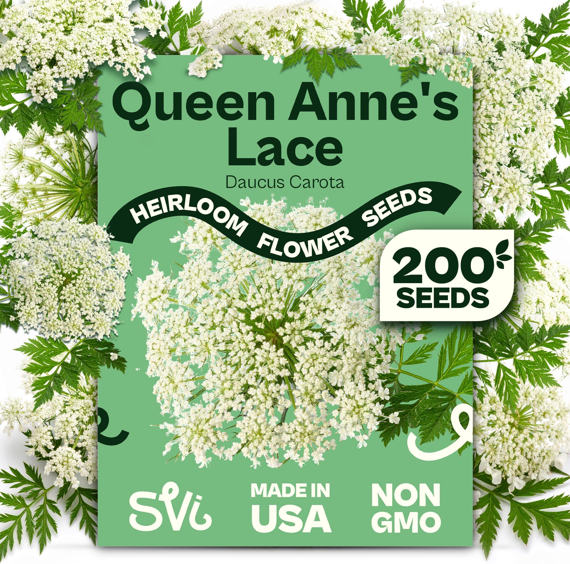 SVI 900 Queen Anne's Lace Seeds for Planting, Bishop's Flower Seed Packets (Ammi majus) - Bullwort, Laceflower, Heirloom Wildflower, False Annes Lace - Wild Flower Seeds to Plant Outside