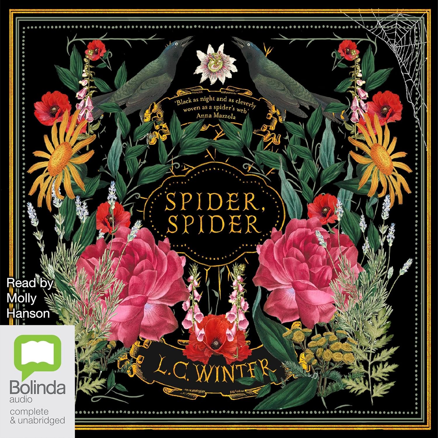  L.C. Winter Spider, Spider