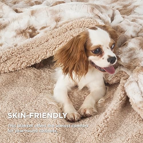 Miniatura 3 de Bedsure Manta mullida tamaño individual, color gris pardo, sherpa suave y cómoda, felpa y pelo sintético, manta reversible individual para sofá,