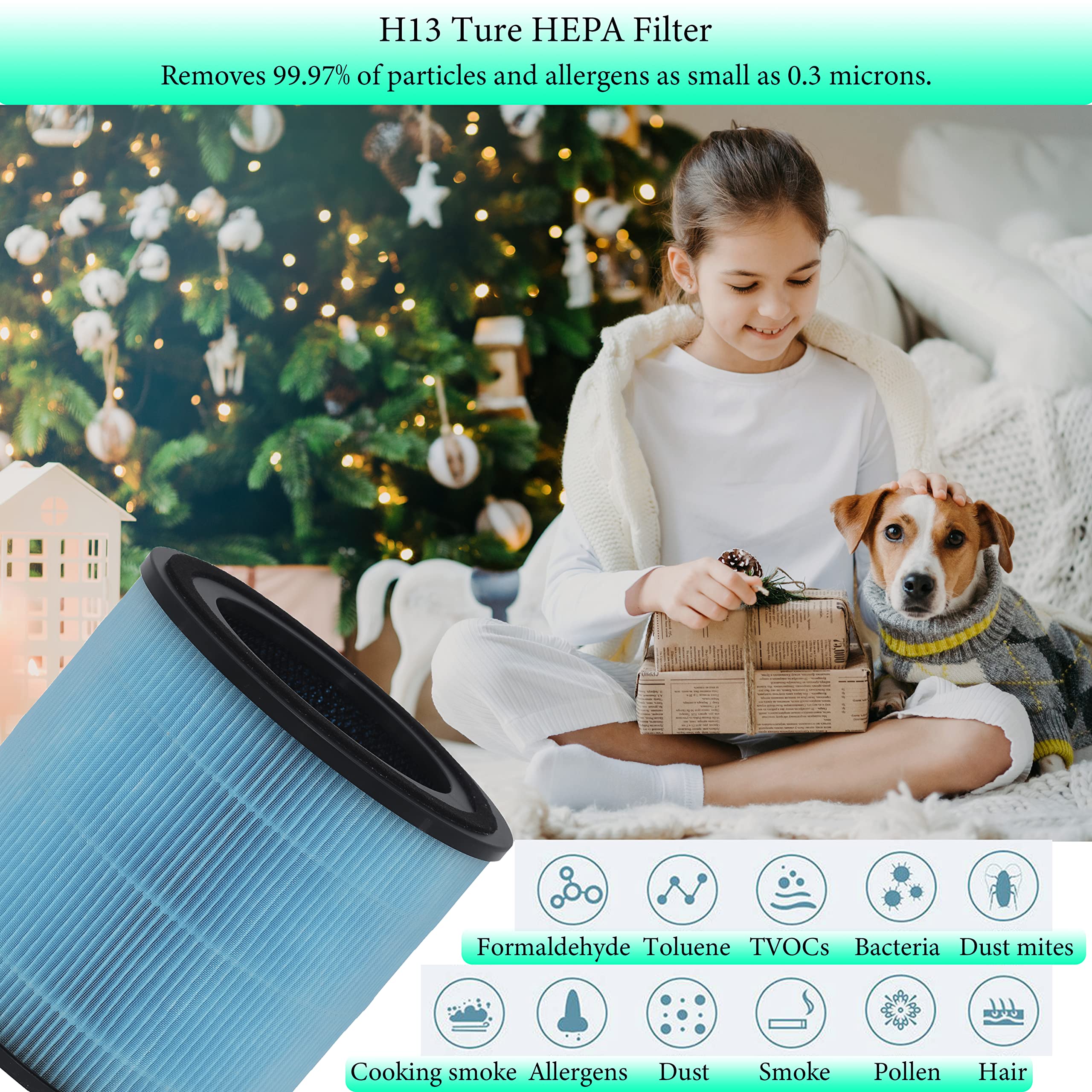 Amazon.co.jp: Nyingchi AP1001 交換用フィルター AIRTOK® AP1001空気