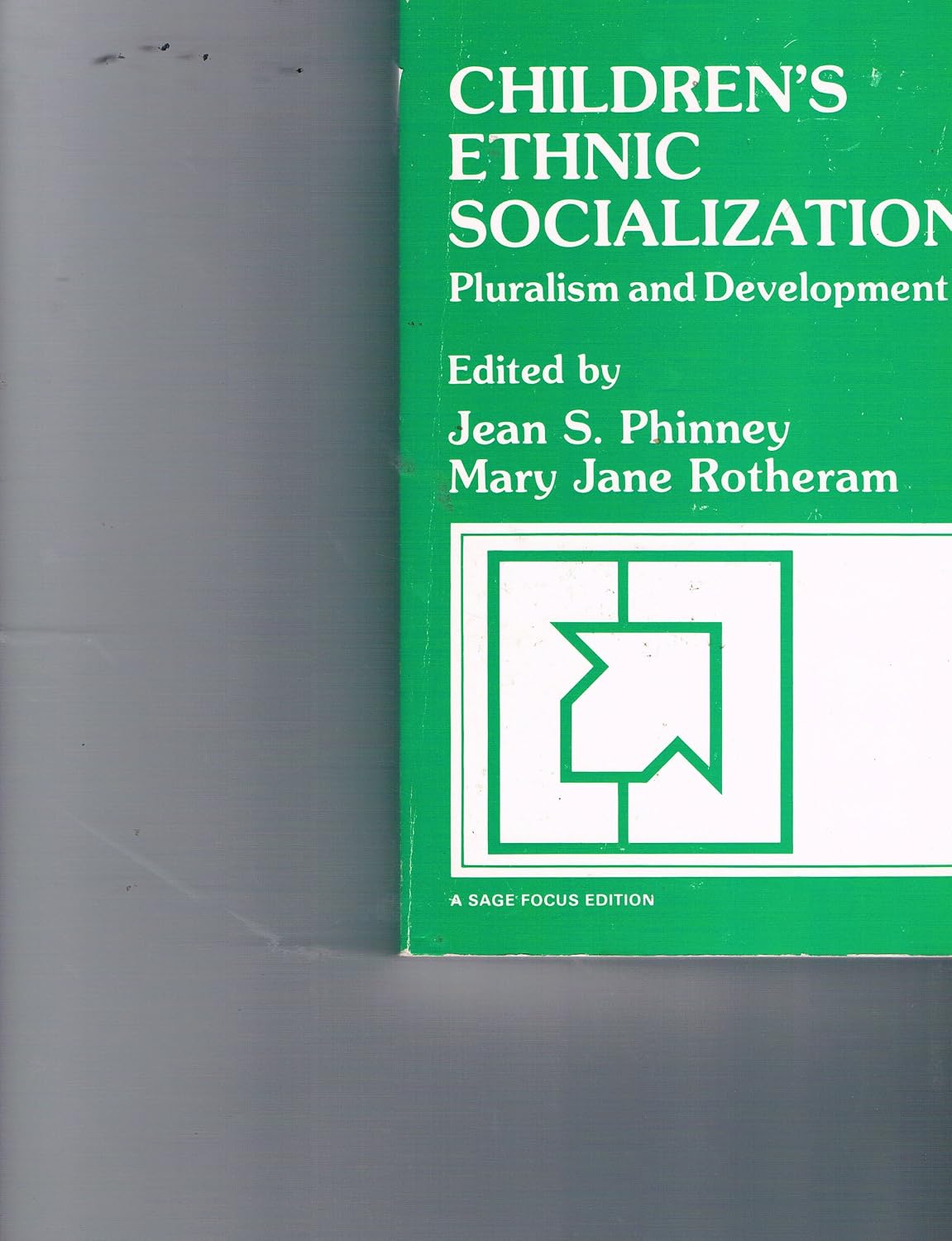 Children′s Ethnic Socialization: Pluralism and Development (SAGE Focus Editions)