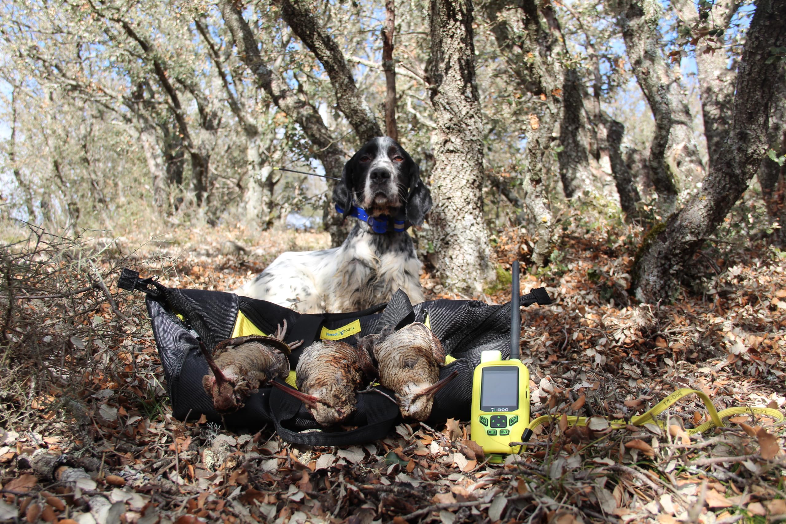 IOCUS Polaris con Collar Dok, Rastreador GPS para Perros de Caza, Alcance 20 km, 4G y Radio, IPX7, Batería 3500 mAh, 55 Horas de Uso Continuo, Baliza LED, Valla Virtual, Escucha en Vivo