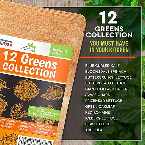Miniatura 2 de Paquete de 12 semillas de lechuga y verduras, reliquia y sin OMG, cultivado en Estados Unidos, jardín interior o exterior, iceberg, rúcula, col