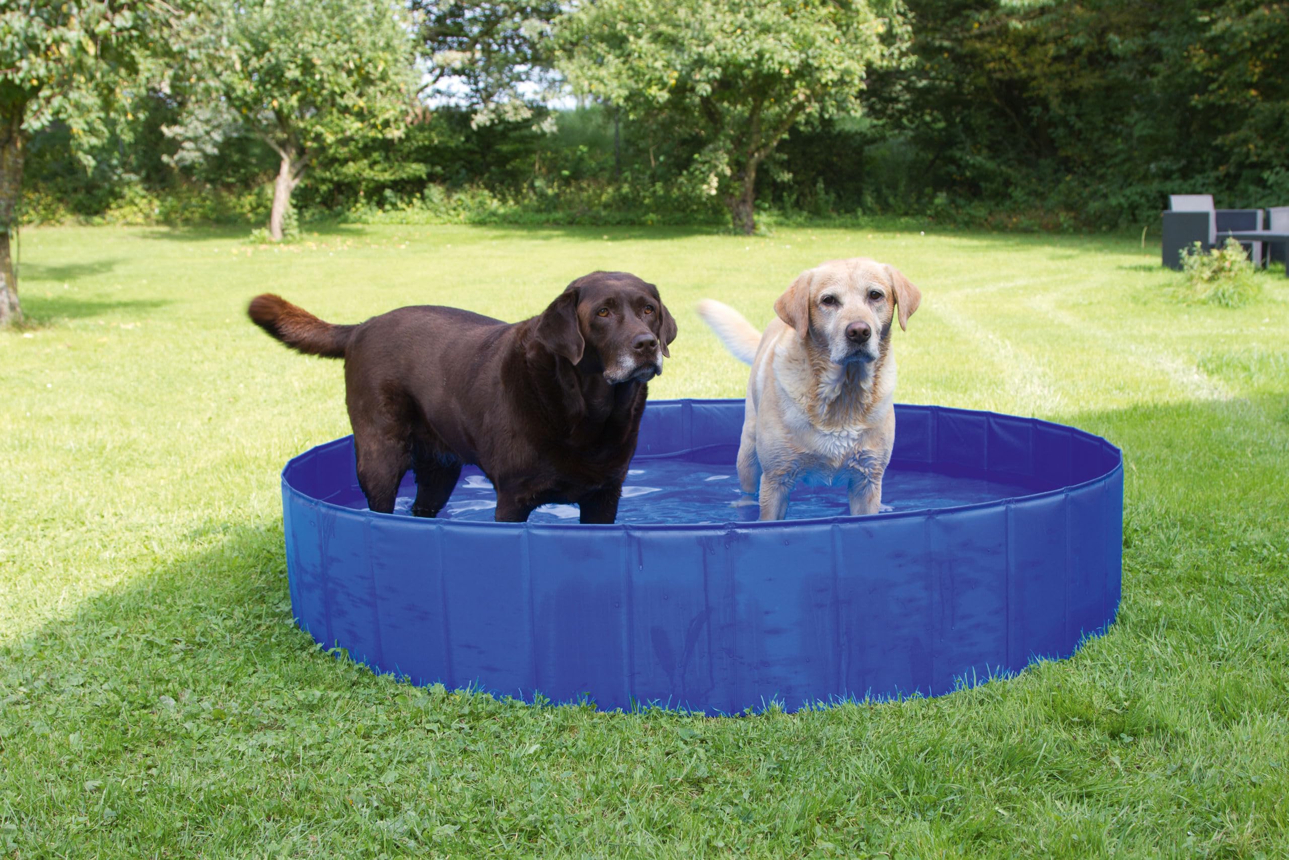 Kerbl Pet Piscina para perros, cuenco para perros, altura 30 cm, azul, 120 cm, plástico, resistente a arañazos, fácil de montar y desmontar