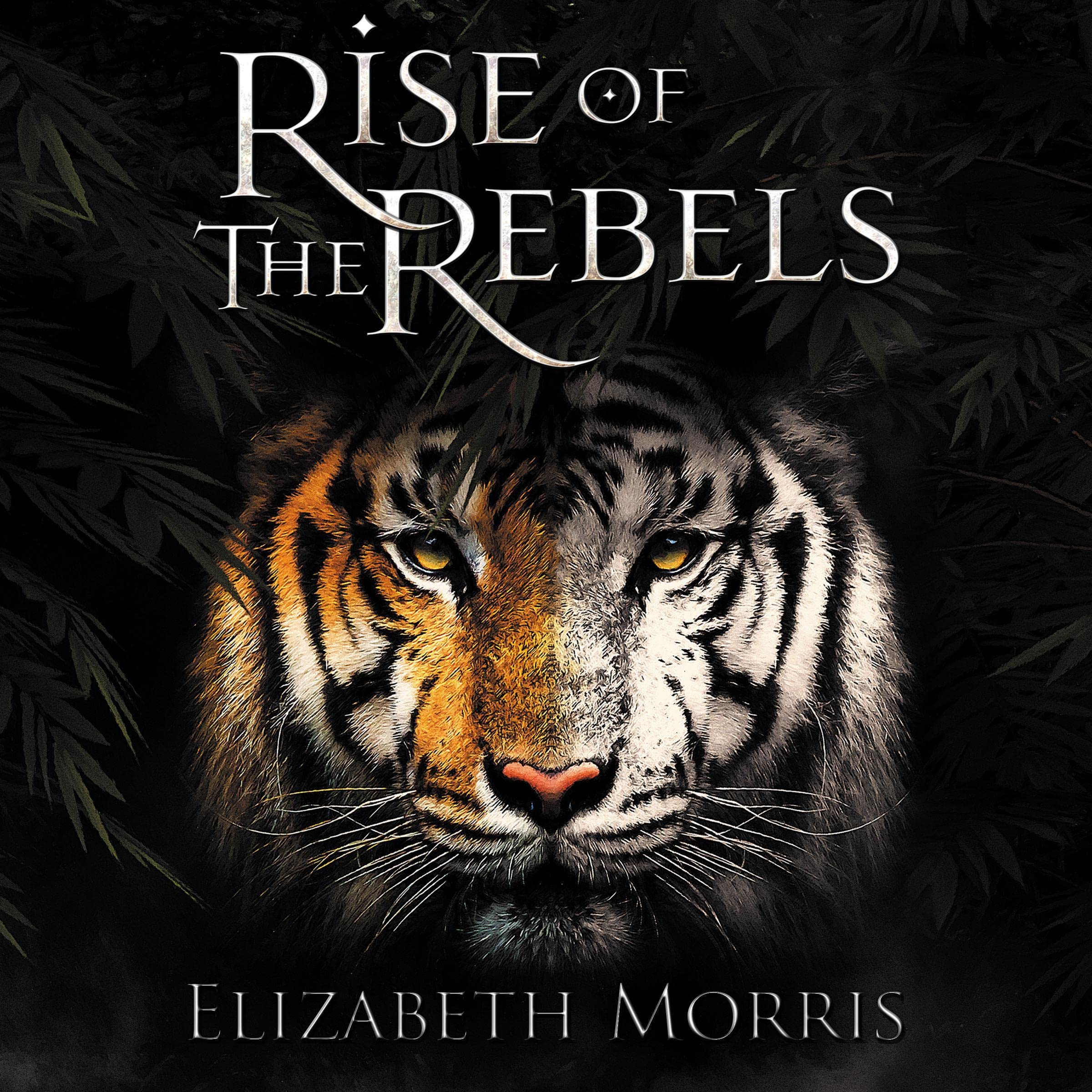 Cover art for Rise of the Rebels