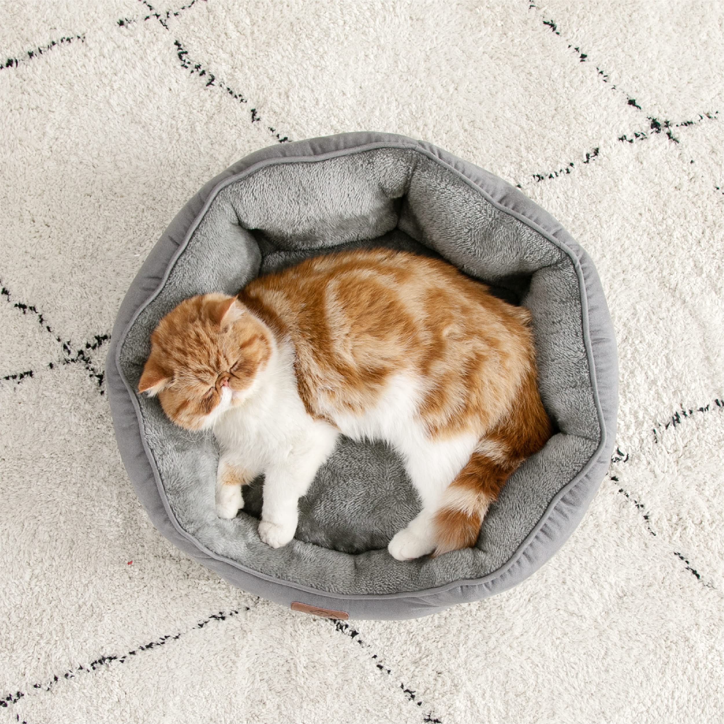 Bedsure Letto per Cani Piccoli Lavabile - Letti Grandi per Gatti da Interno e Cuccioli, Letto Rotondo per Cani di Media Taglia con Fondo Antiscivolo, grigio, 51 x 48 x 15cm