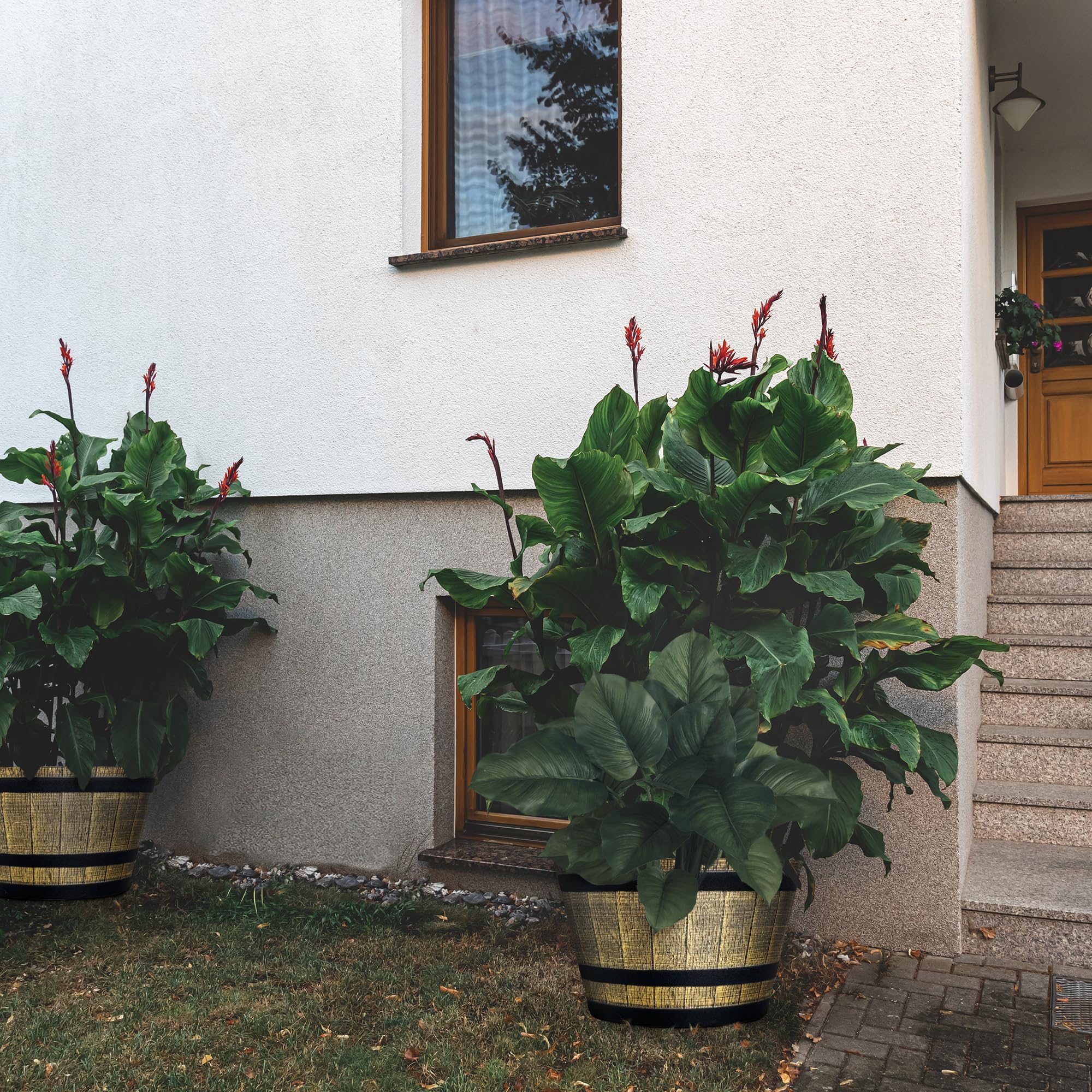SG Traders Large Half Barrel Cask Planter, Indoor Plant Pot with Drainage Holes, Flower Pots Outdoor Garden Planters - Image 4