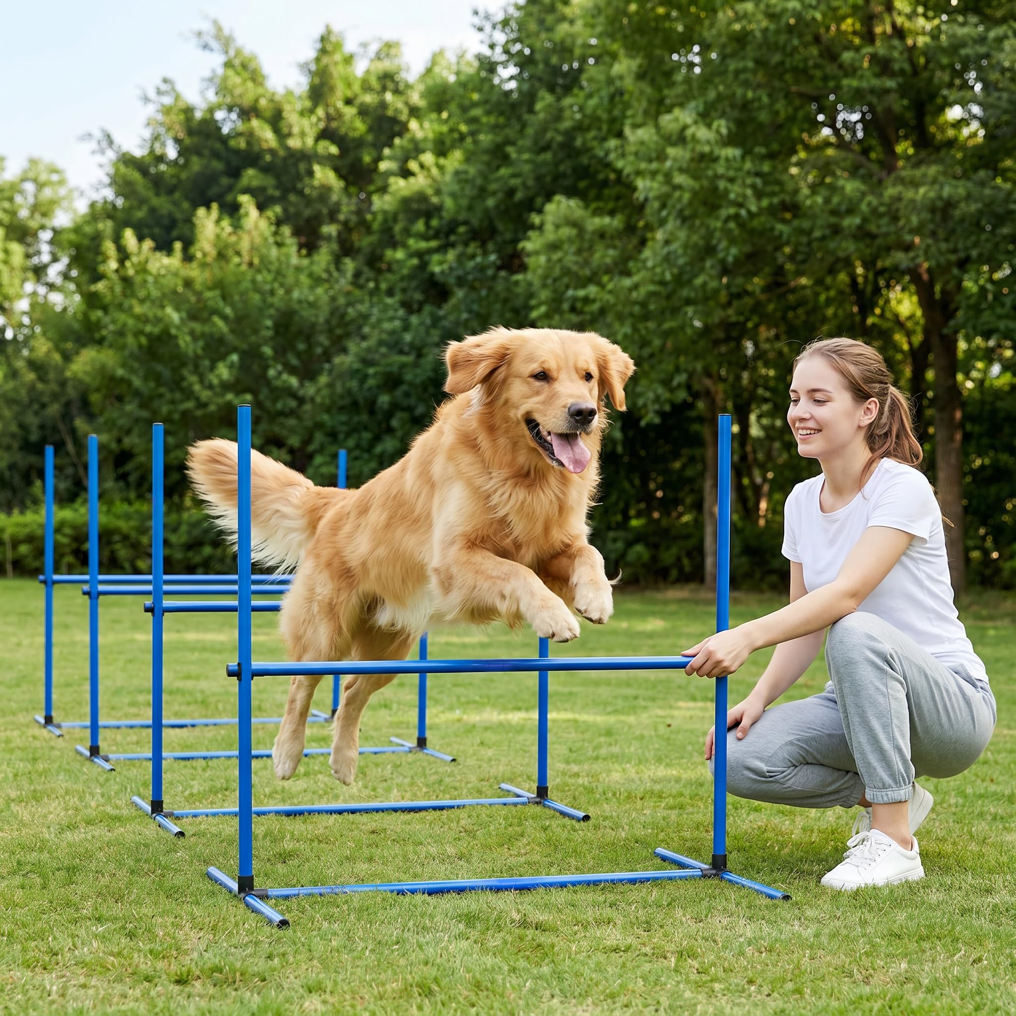 ACXIN Agility Set di accessori per addestramento del cane con 4 ostacoli, asta Slalom Agility per cani, facile da trasportare, regolabile in altezza con custodia, 104 x 70 x 101 cm, blu