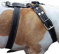 Vista 2 de Arnés para perro de cuero genuino negro grande. 30-35 pecho, 1.5 correas anchas Pitbull, Boxer