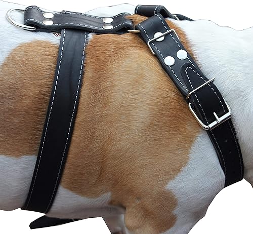Miniatura 2 de Arnés para perro de cuero genuino negro grande. 30-35 pecho, 1.5 correas anchas Pitbull, Boxer