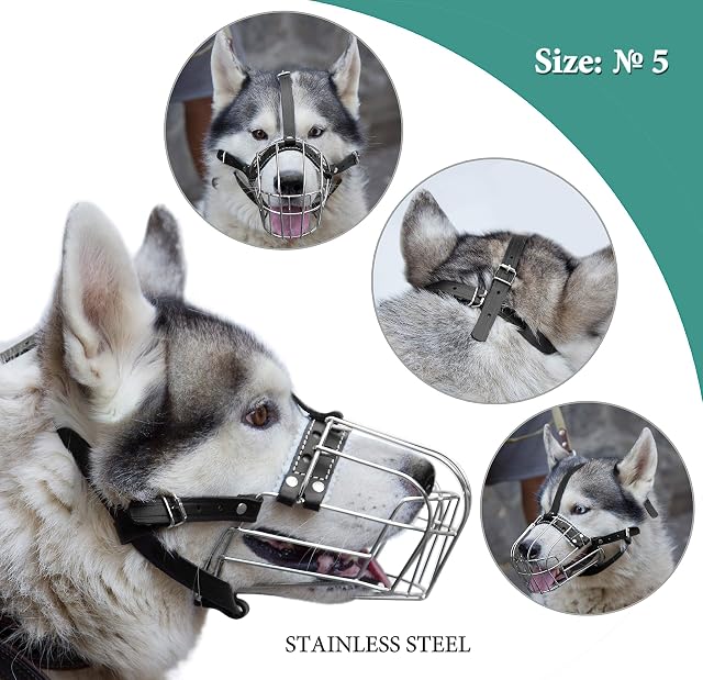 Foto 6 de 8 de Bozales de Metal Cromado para Perros, Correas de Cuero Ajustables (№5) La Circunferencia es de 29-32 cm