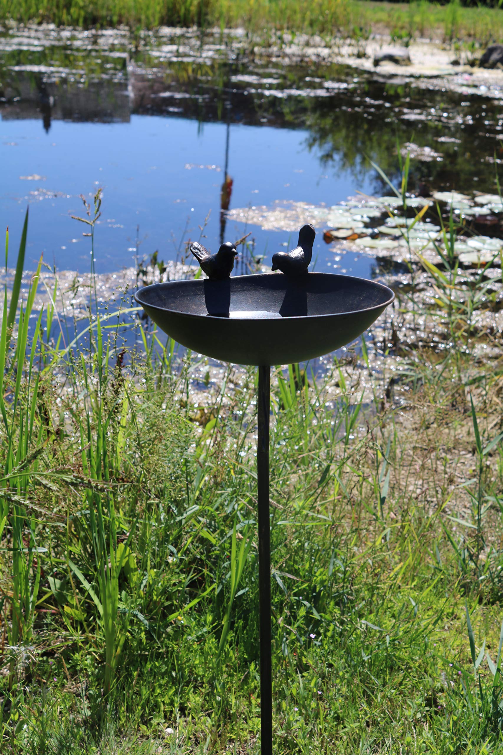 AmaCasa Vogeltränke Vogelbad Vogelbecken Wassertränke Tränke Wasserschale Stecker Braun Eisen