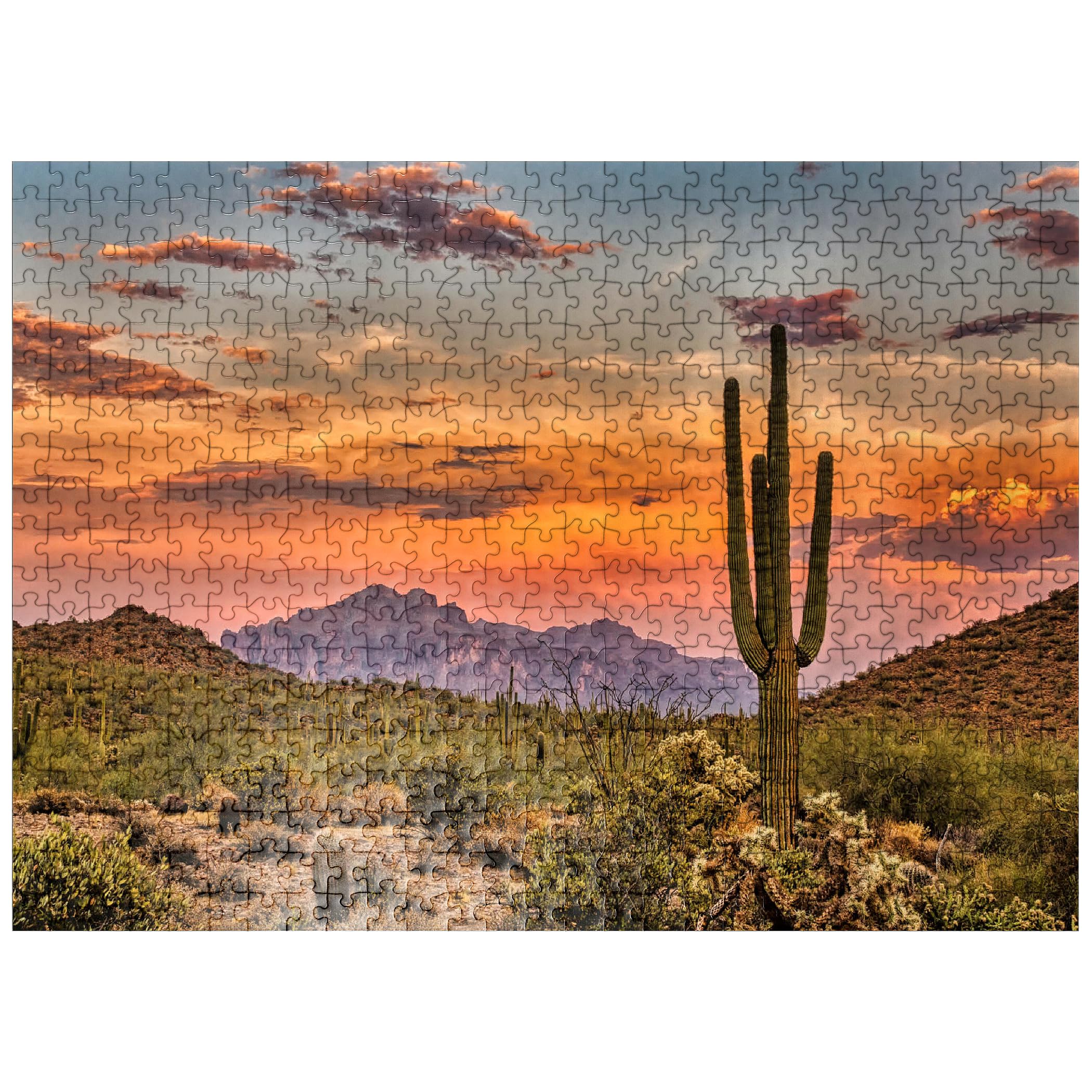 Amazon.com: MyPuzzle Sunset in The Sonoran Desert Near Phoenix
