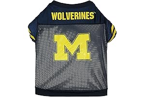 Michigan Wolverines Football Dog Jersey: Team Spirit for Your Furry Friend