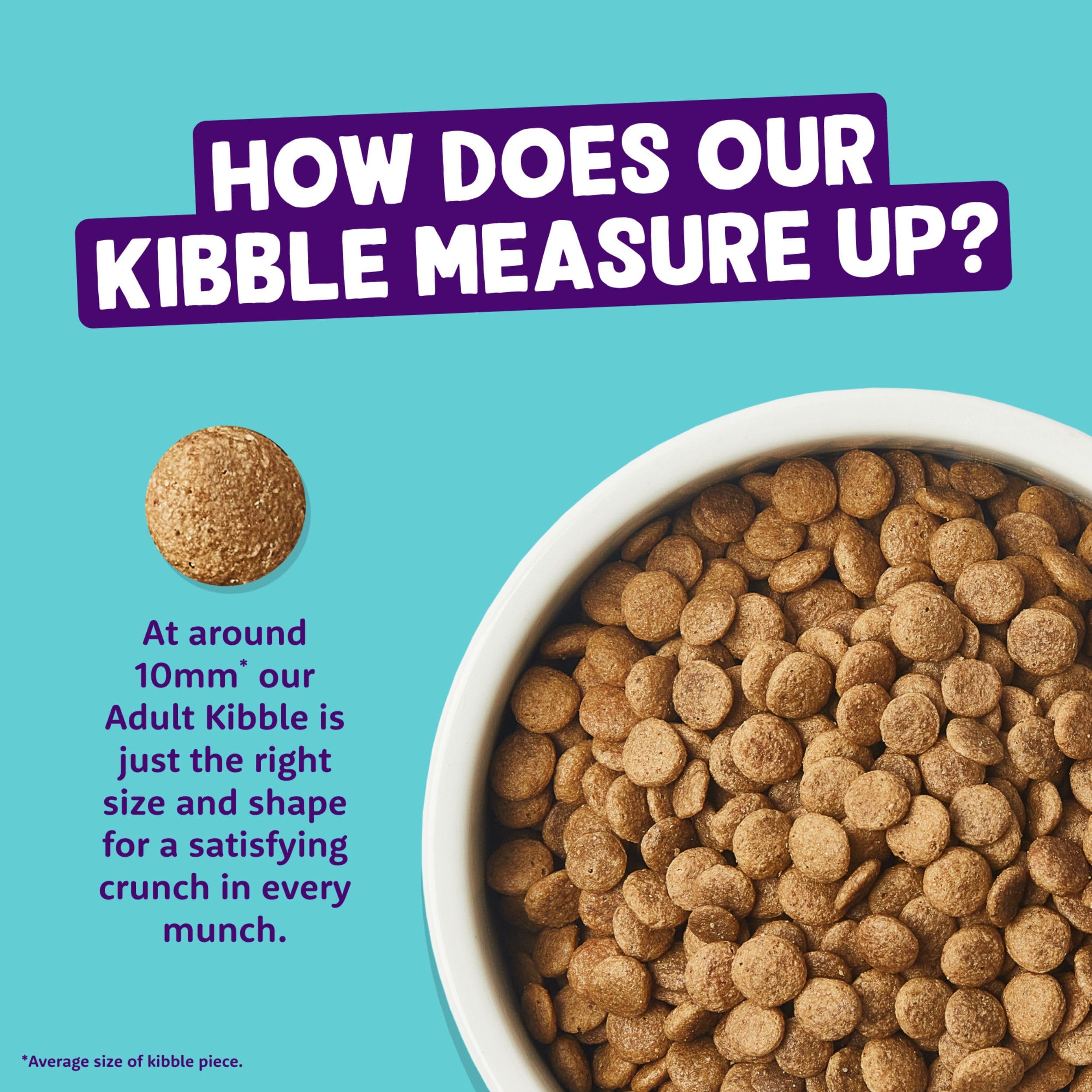 Edgard & Cooper Crocchette Gatti, (Tacchino & Pollo Fresco, 2kg), croccantini gatto sterilizzati o attivo, carne fresca e ingredienti naturali, senza cereali, senza zuccheri aggiunti